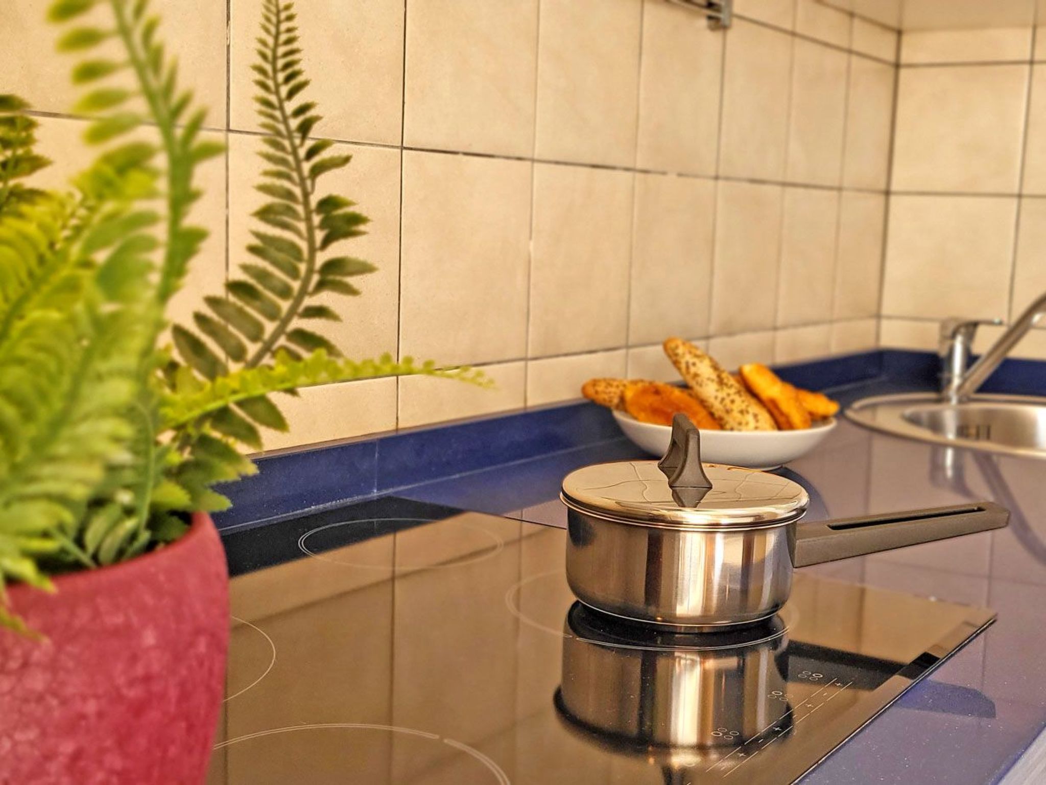 Janida Dream-Image-tags.info