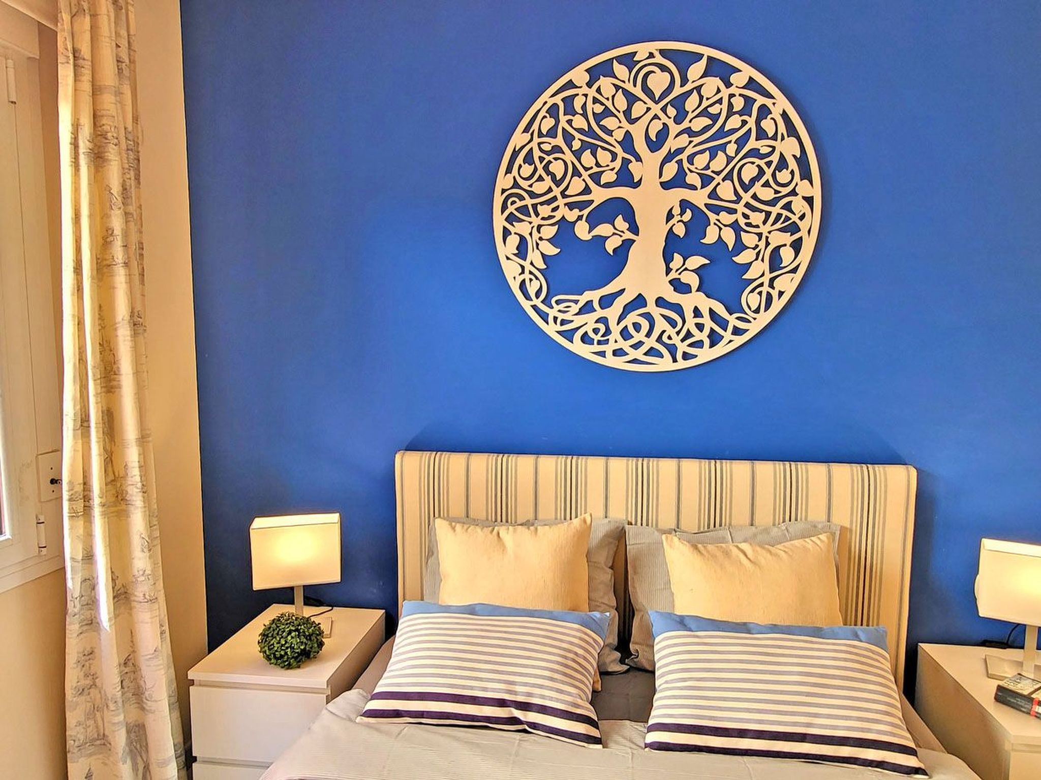 Janida Dream-Image-tags.info