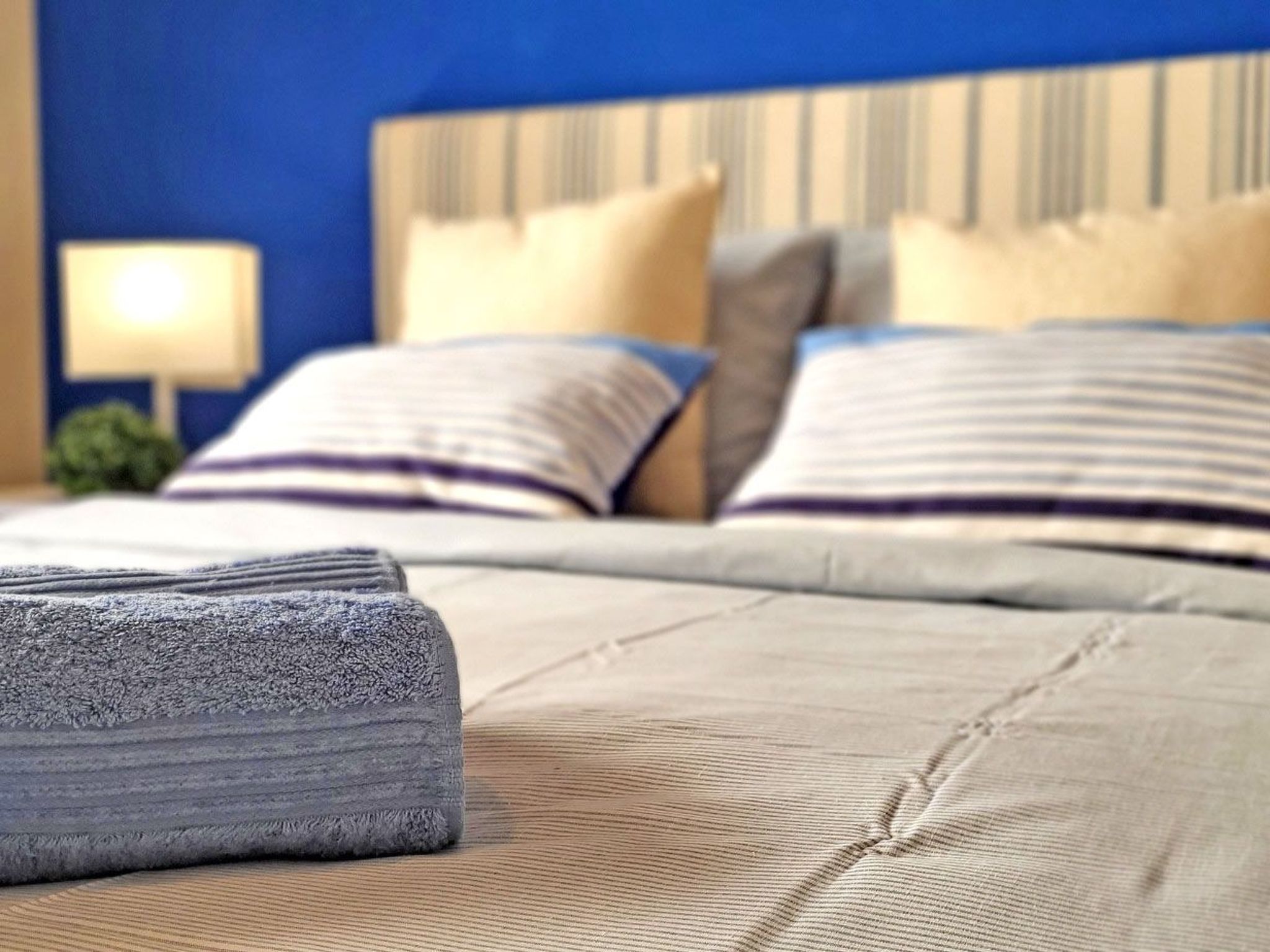 Janida Dream-Image-tags.info