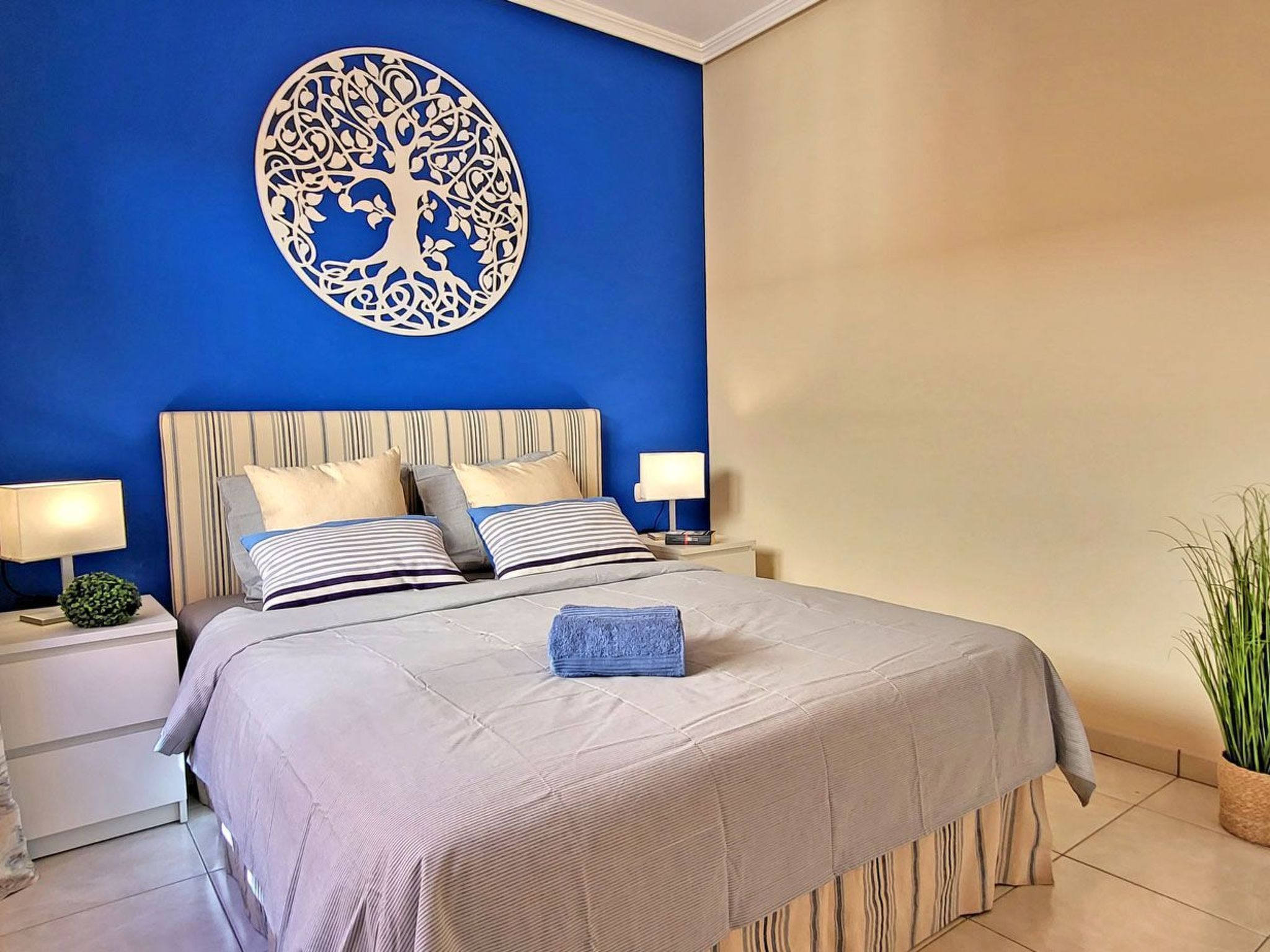 Janida Dream-Image-tags.info