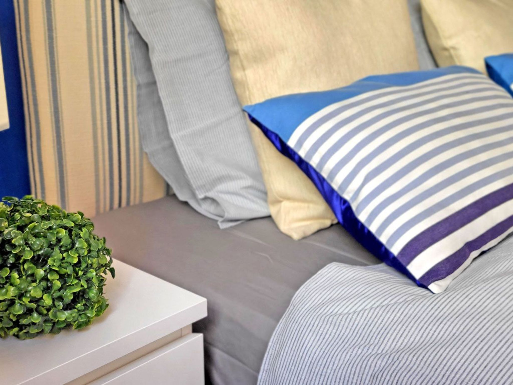 Janida Dream-Image-tags.info