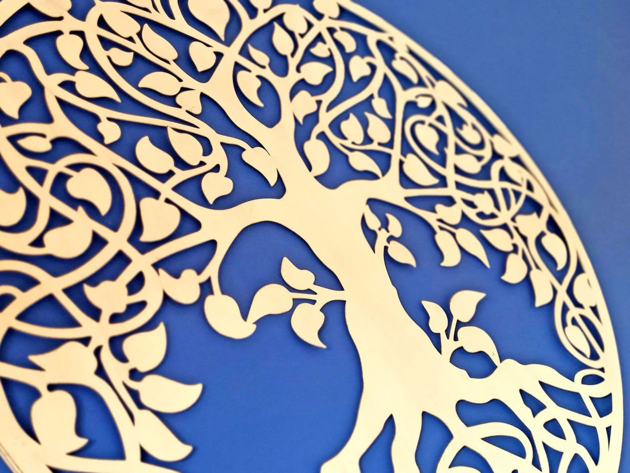 Janida Dream-Image-tags.info