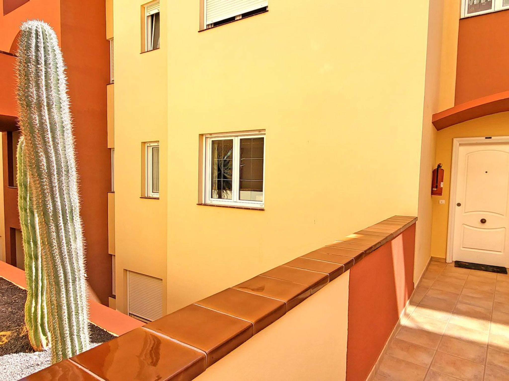 Janida Dream-Image-tags.info