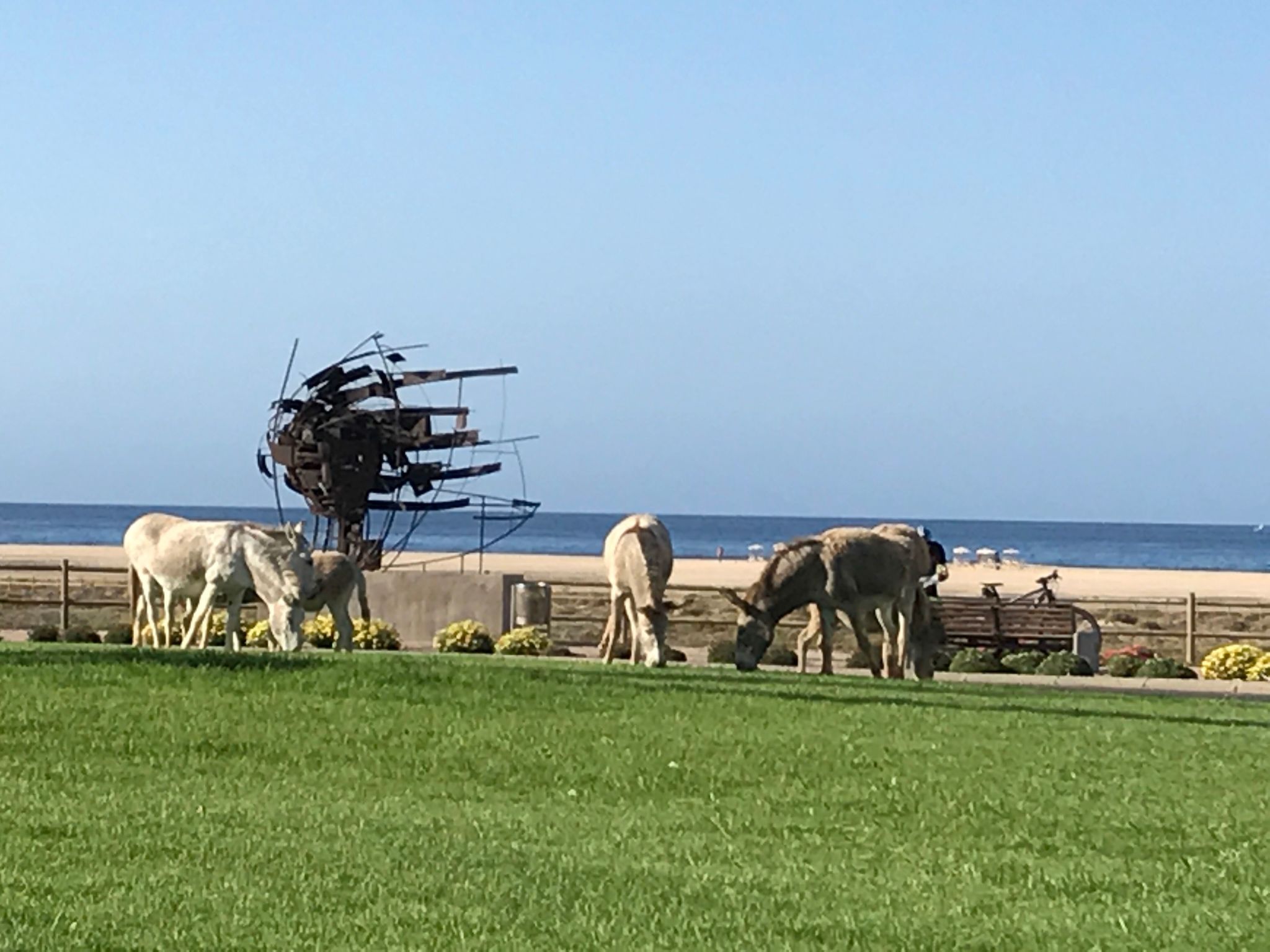"Jandia" mit Wasserblick-Outside