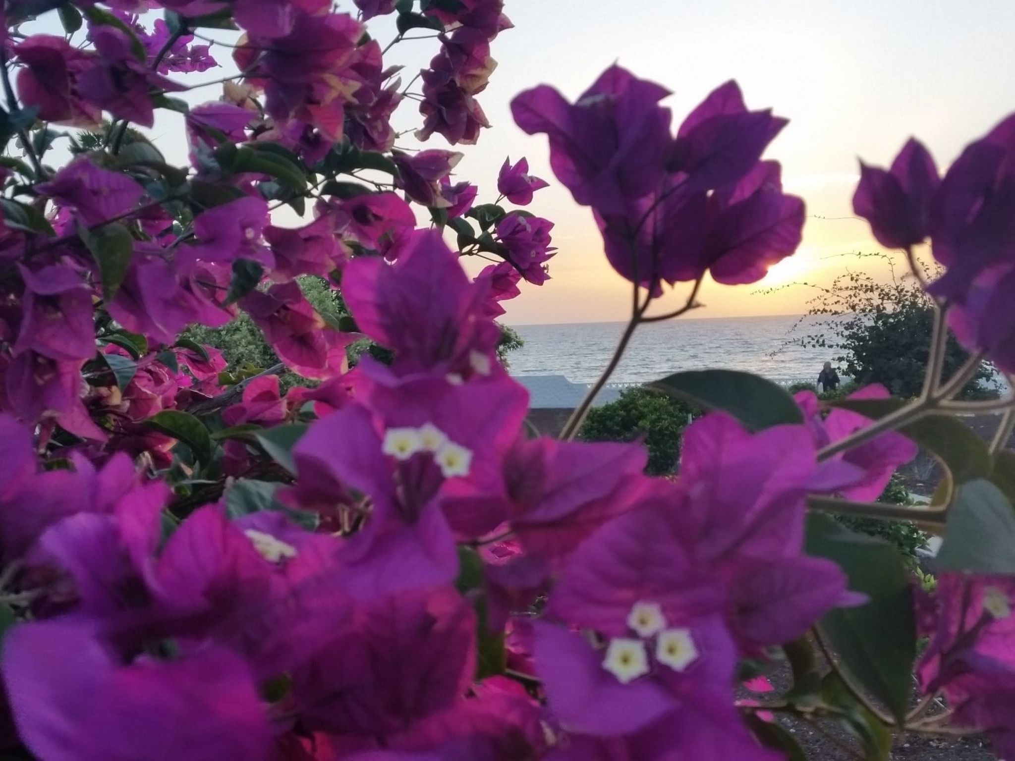 "Jandia" mit Wasserblick-Outside