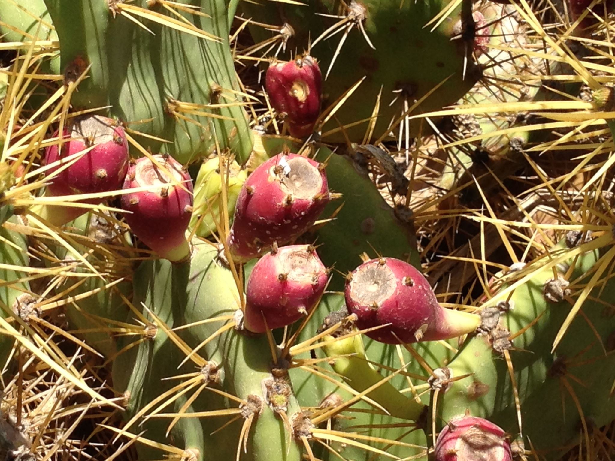 "Jandia" mit Wasserblick-Image-tags.info