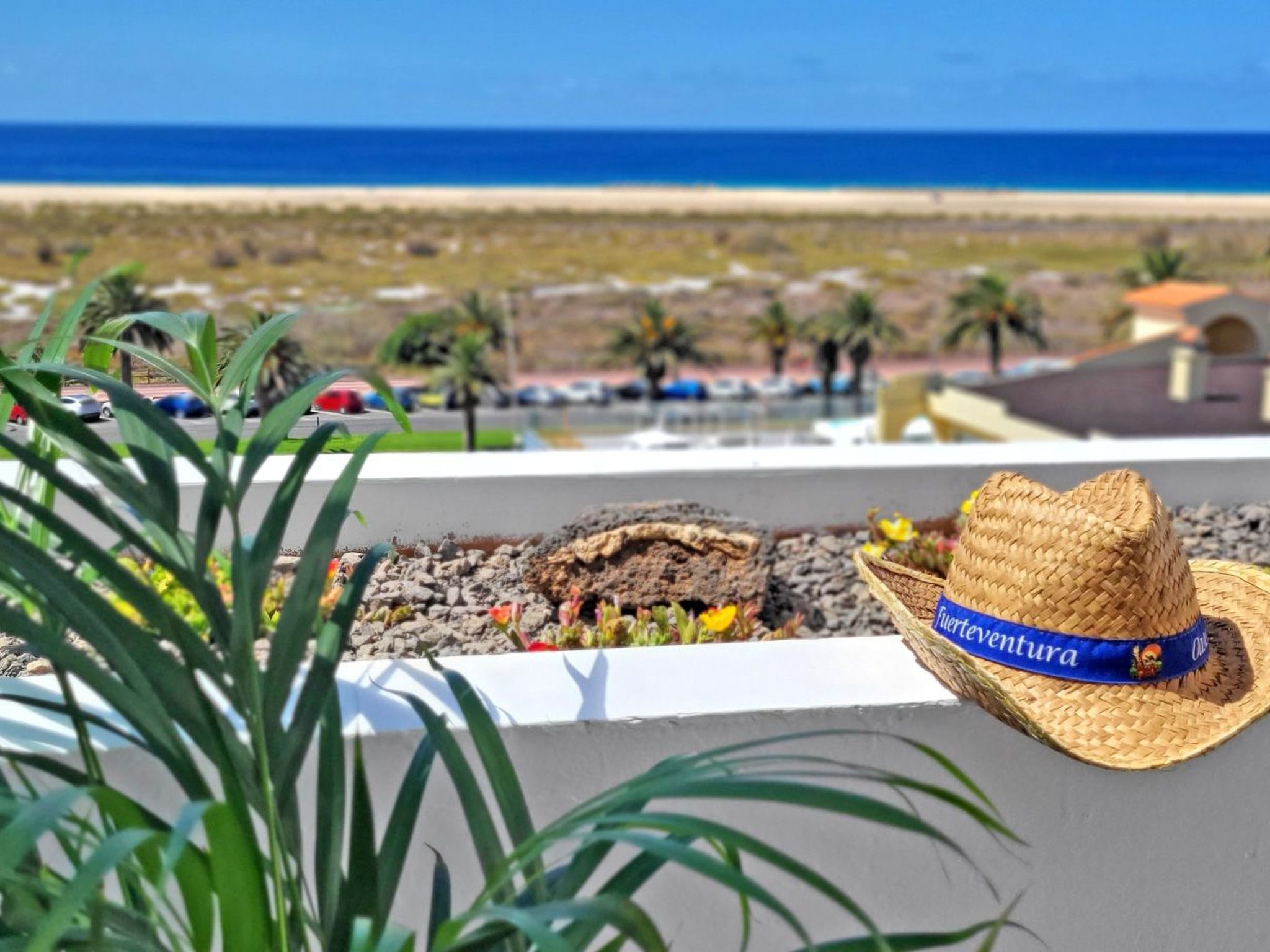 Casa Atlantica-Image-tags.info