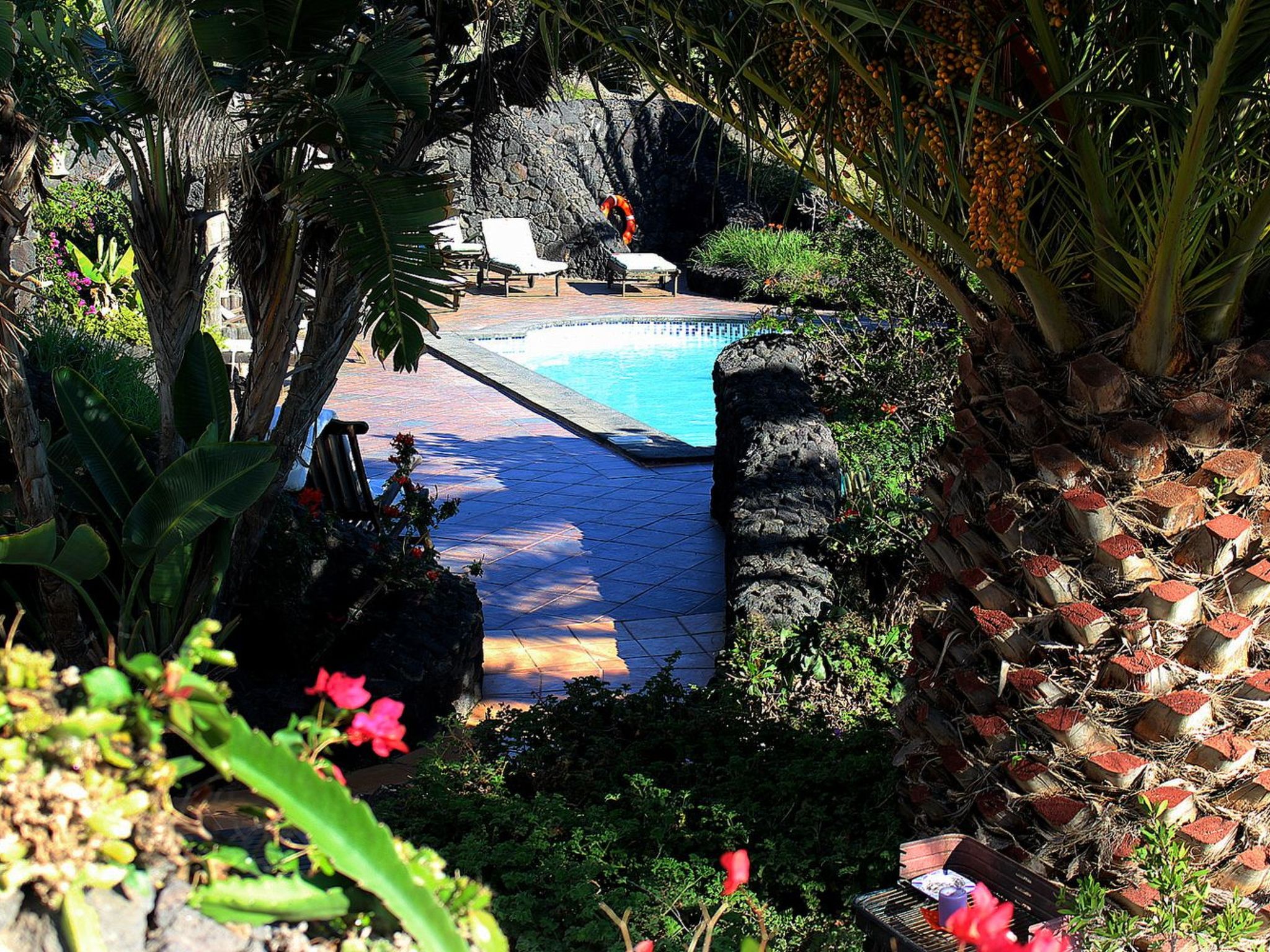 Casa Roco III-Image-tags.info