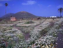 Castillo Lanzarote Villa Winni