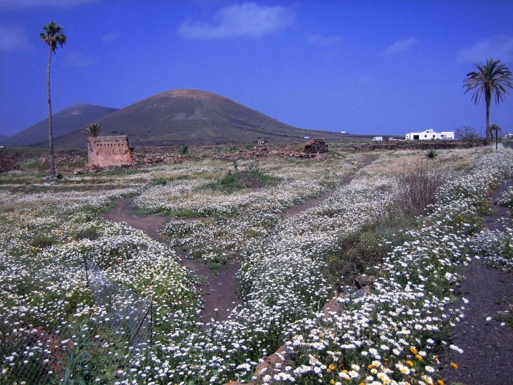 Castillo Lanzarote Villa Winni-Binnen