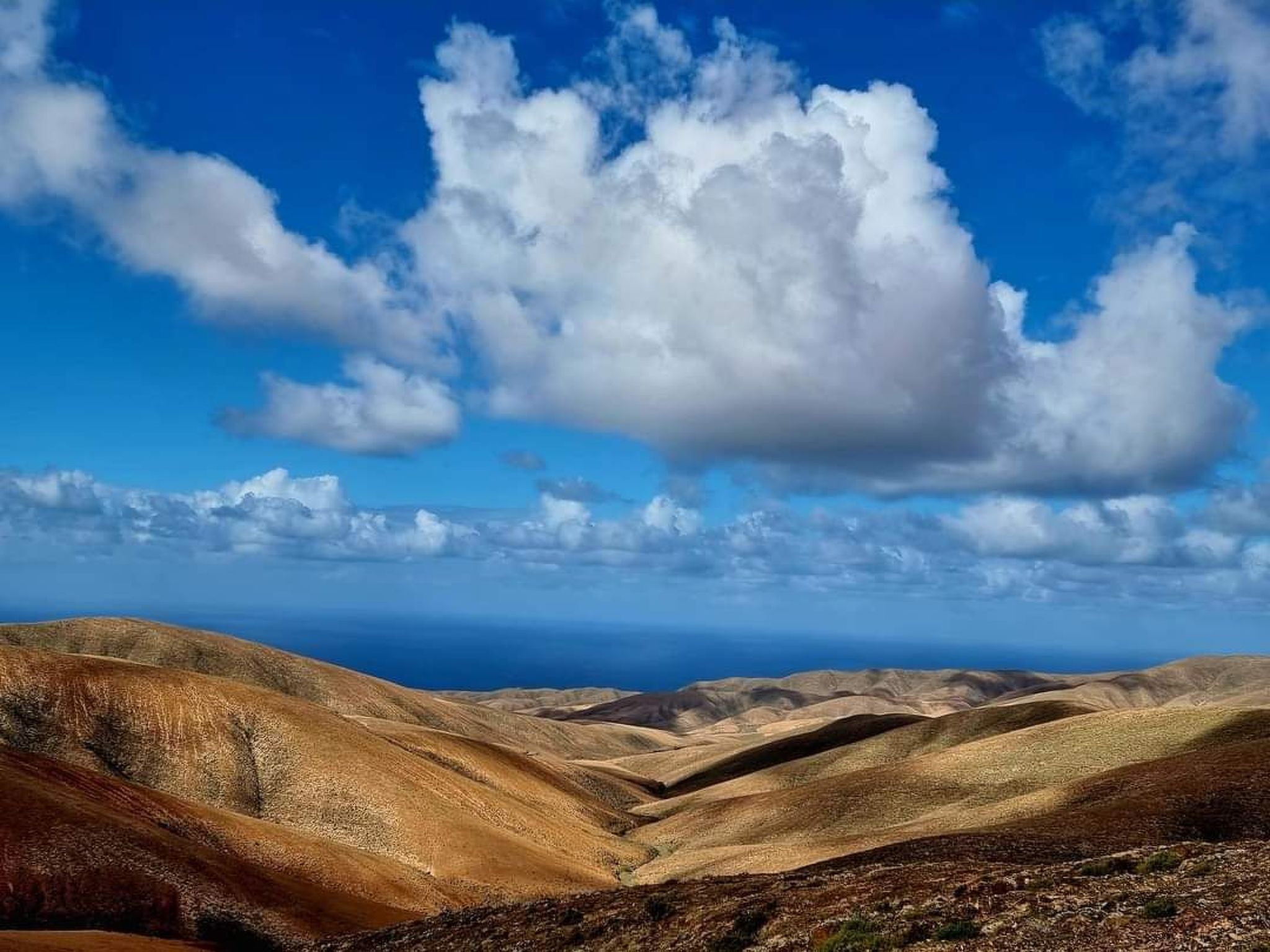 "Casa Freesia-Binnen