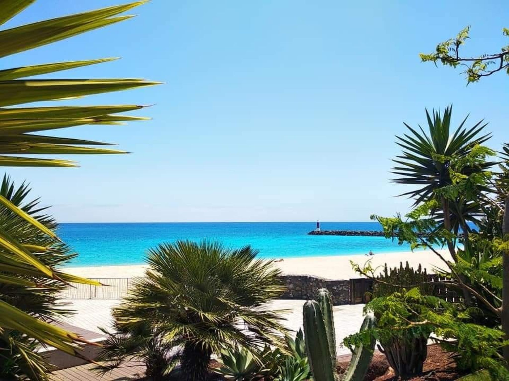 "Casa Freesia-Binnen