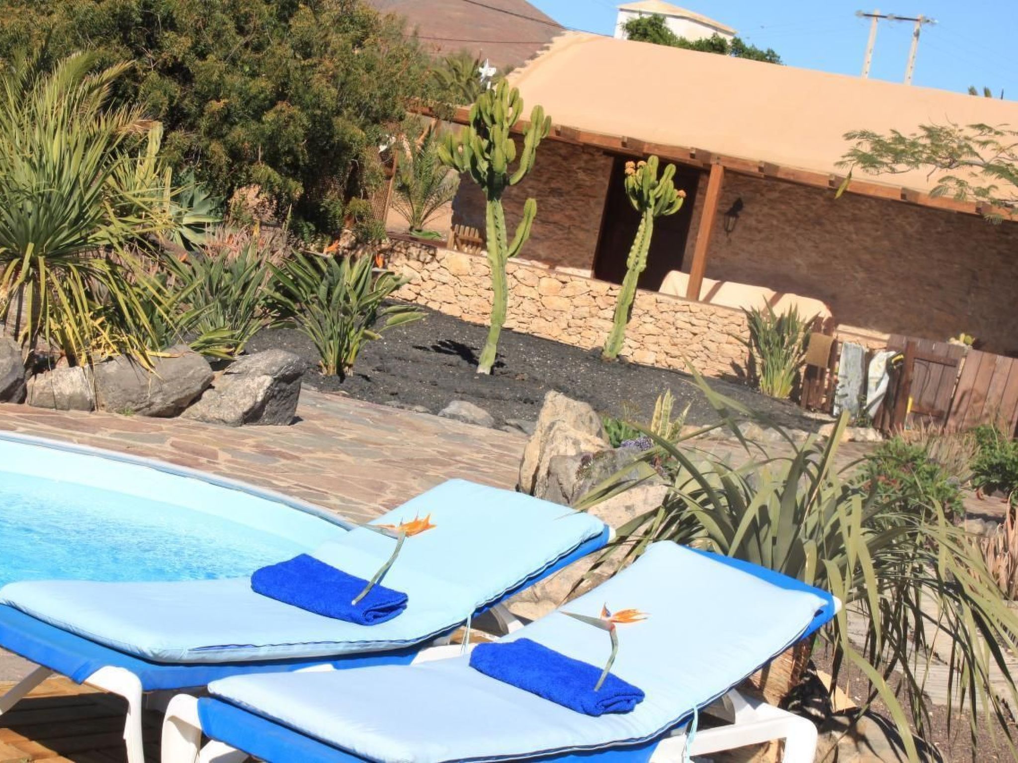 Typisches kanarisches Steinhaus mit privatem Pool in Tuineje
