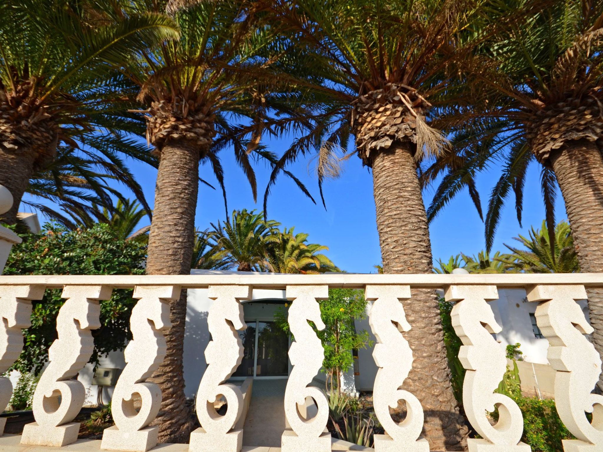 In Costa Calma mit Terrasse, gemeinsamem Pool und Grill-Image-tags.info