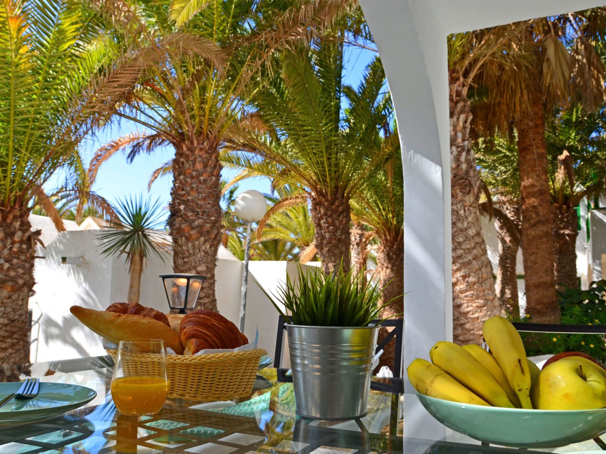 Appartement in Costa Calma mit Großer Terrasse-Image-tags.info