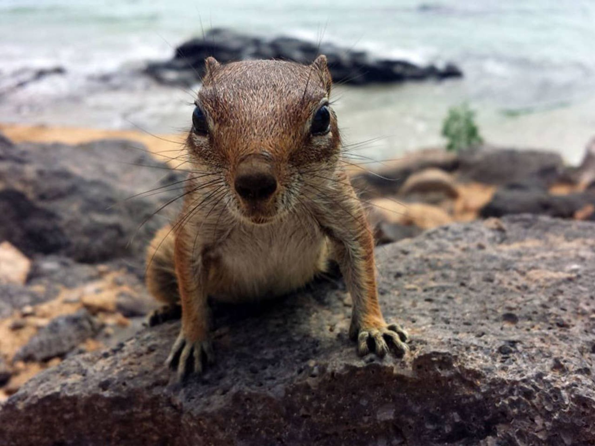 Casa Costa-Image-tags.info