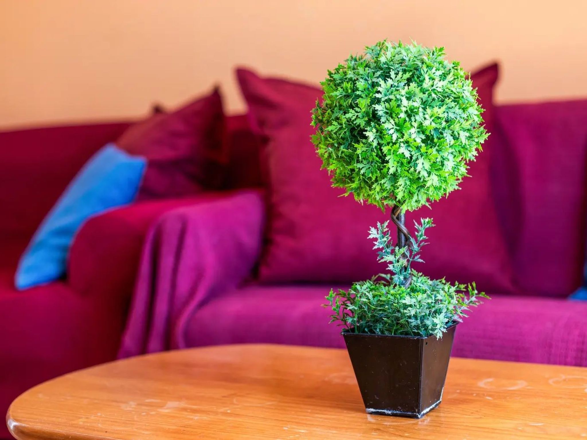 Wohnung in der besten Gegend von Costa Calma-Dedans