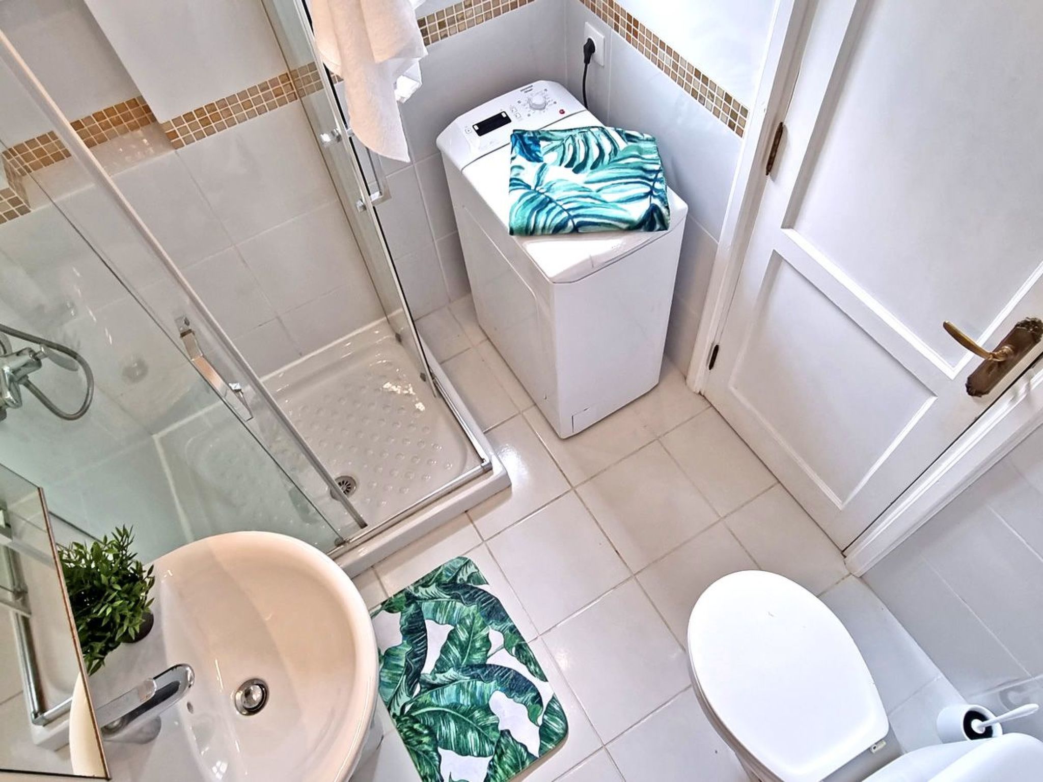 Palm Garden-Image-tags.info