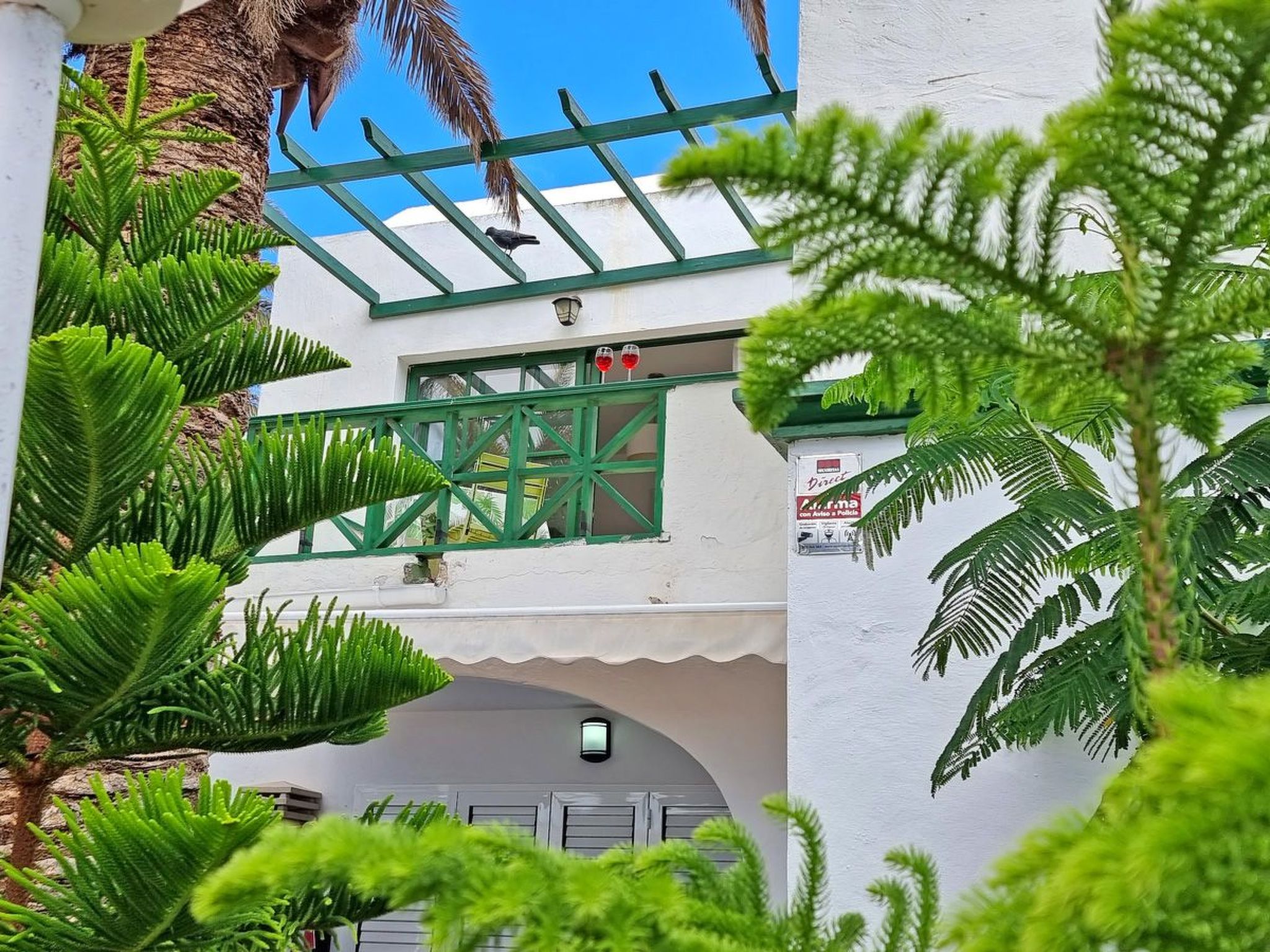 Palm Garden-Image-tags.info