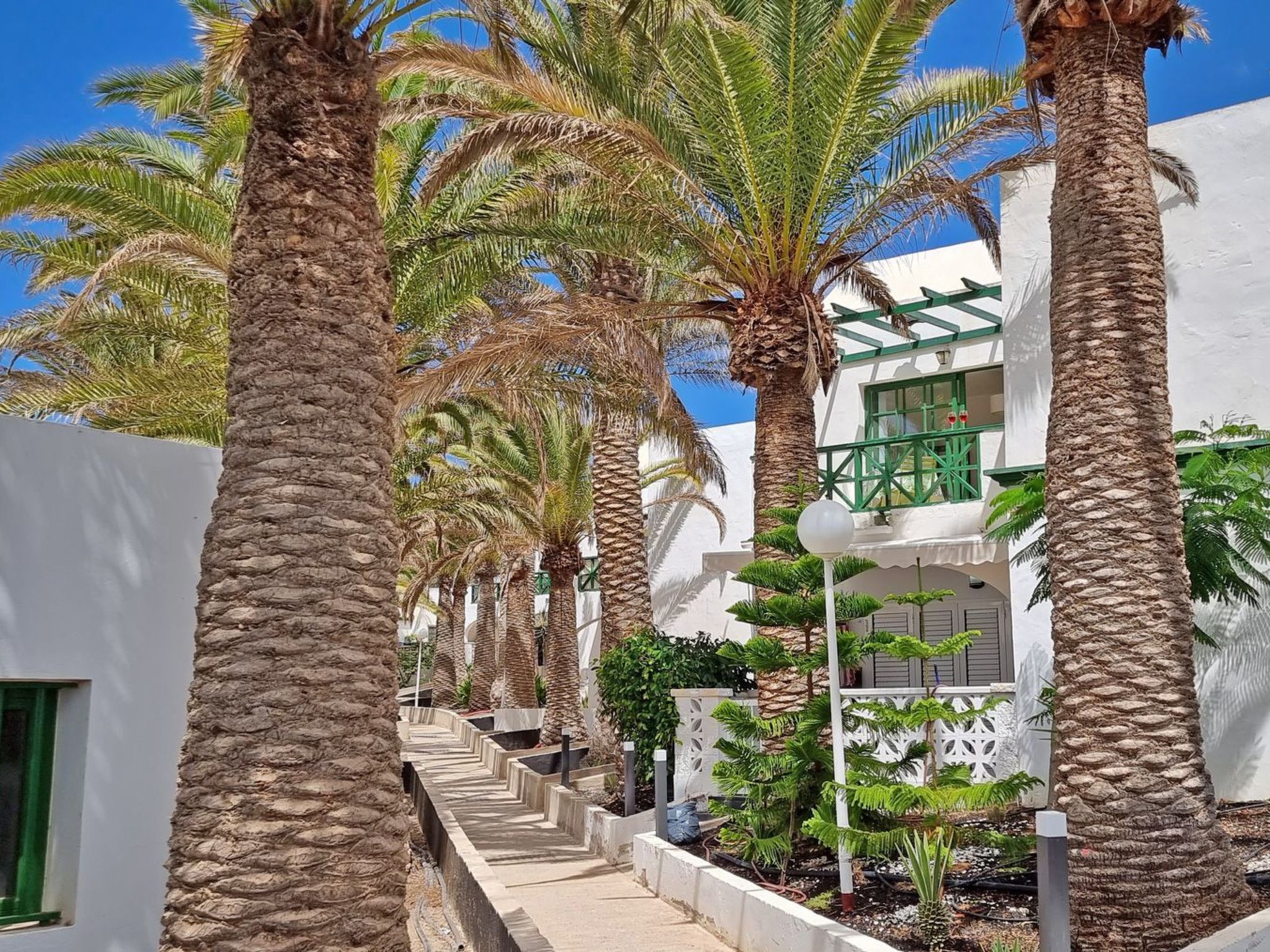 Palm Garden-Image-tags.info