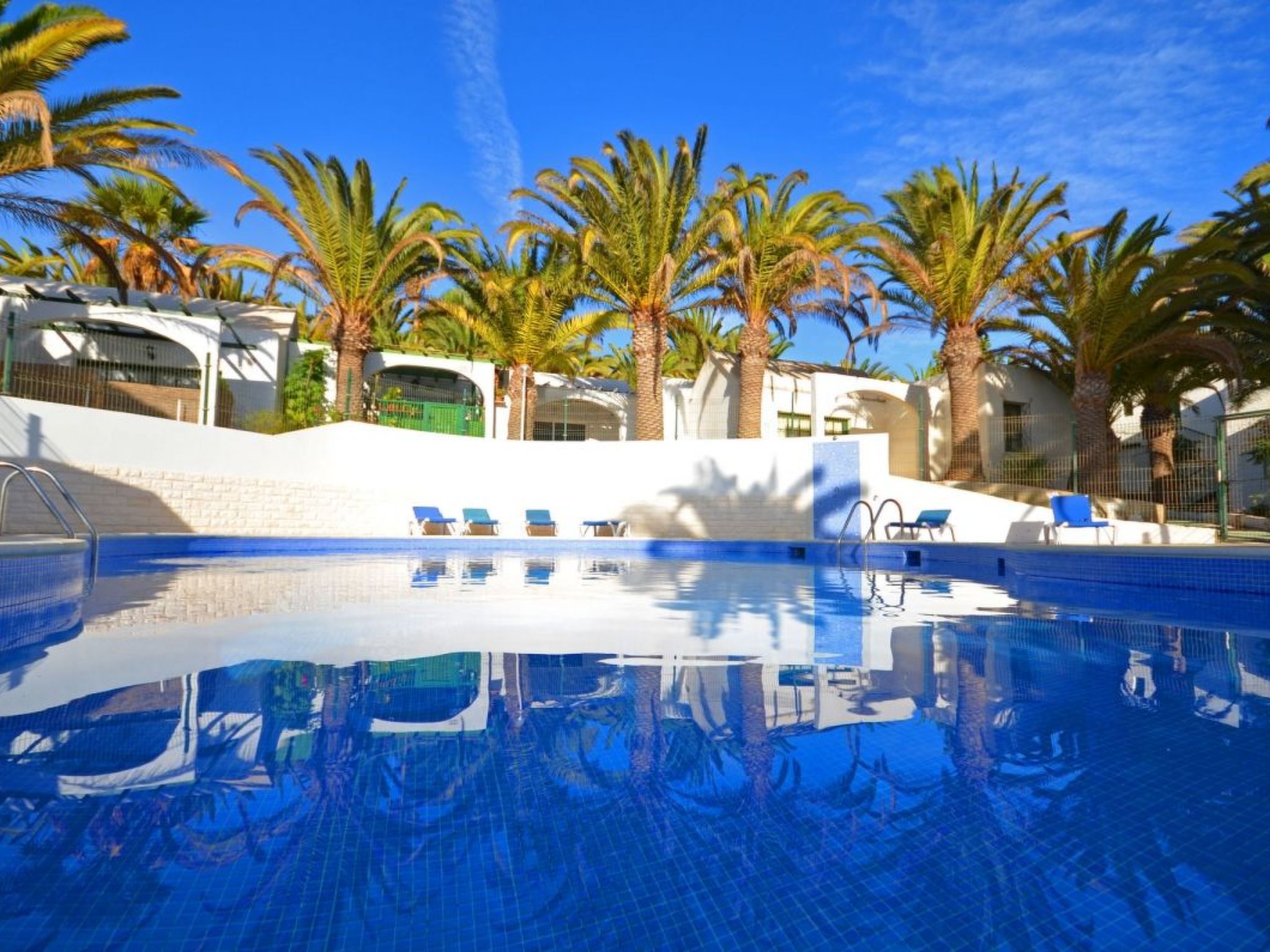 Palm Garden-Image-tags.info