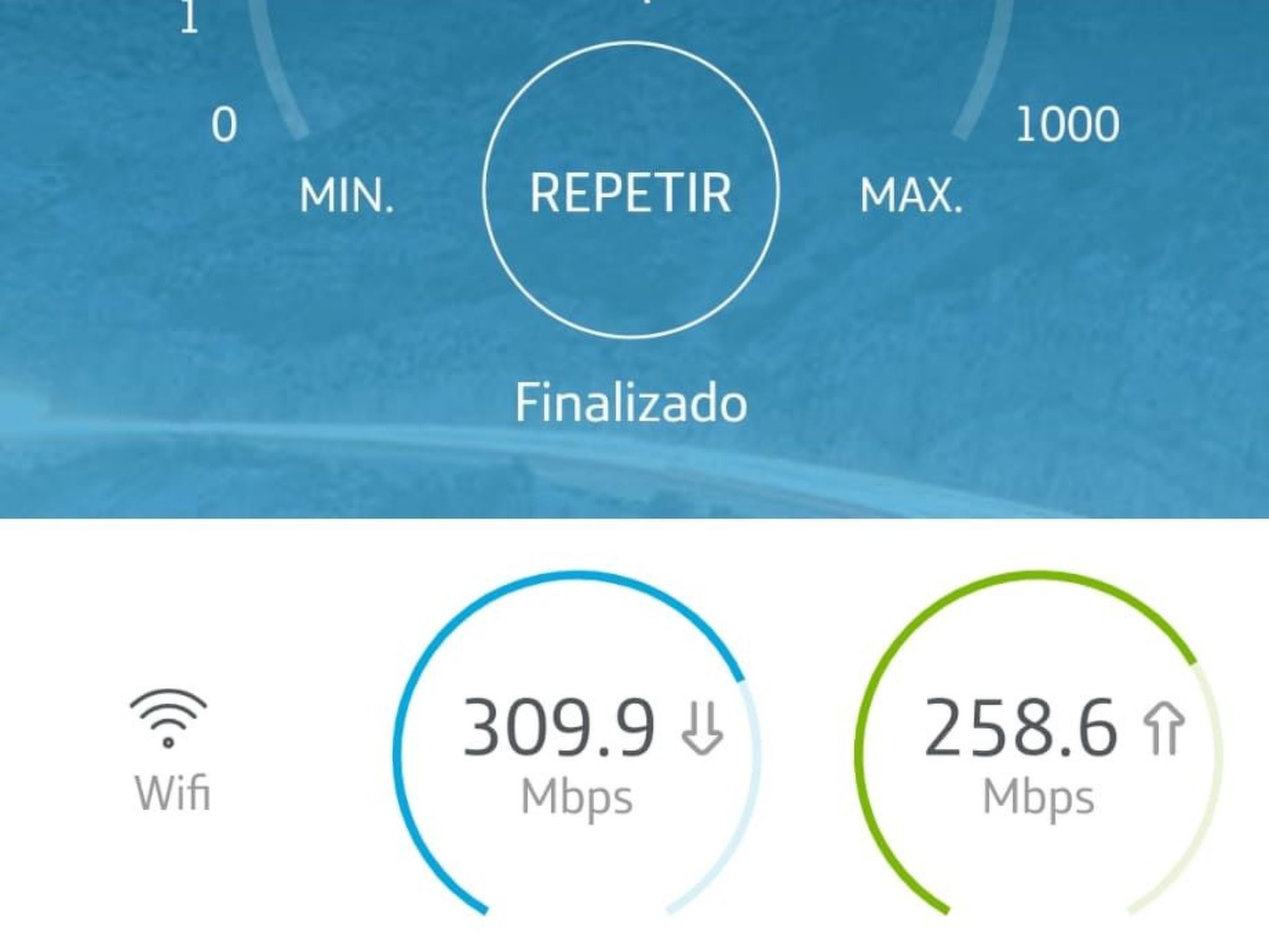 Palm Garden-Image-tags.info