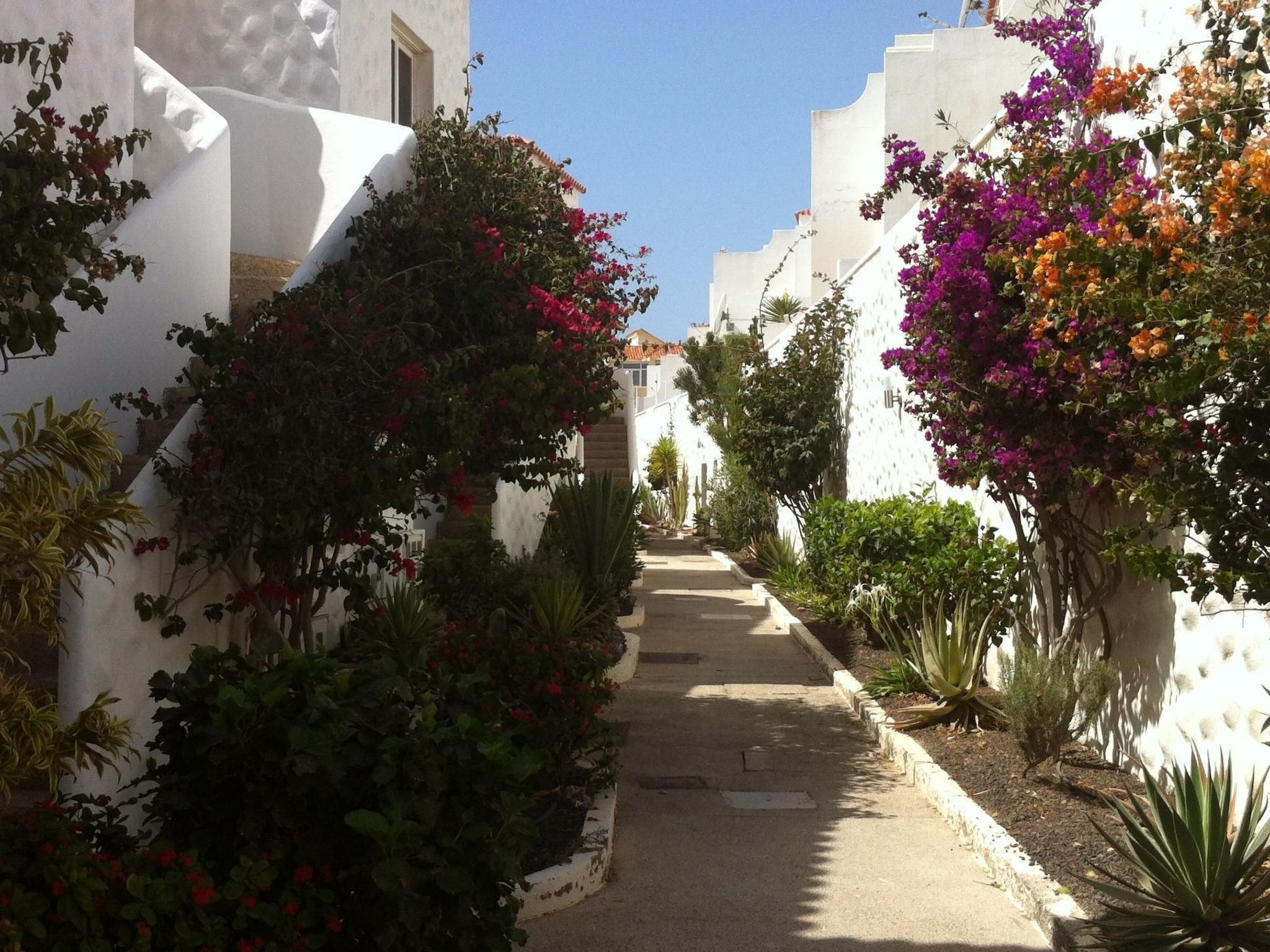 Iwona mit Meerblick-Binnen