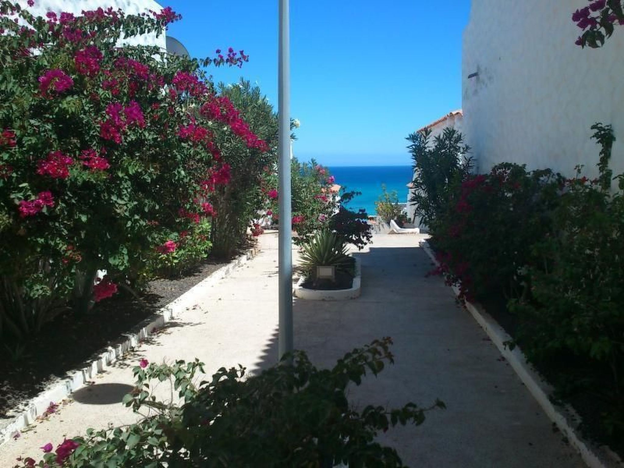 Iwona mit Meerblick-Binnen