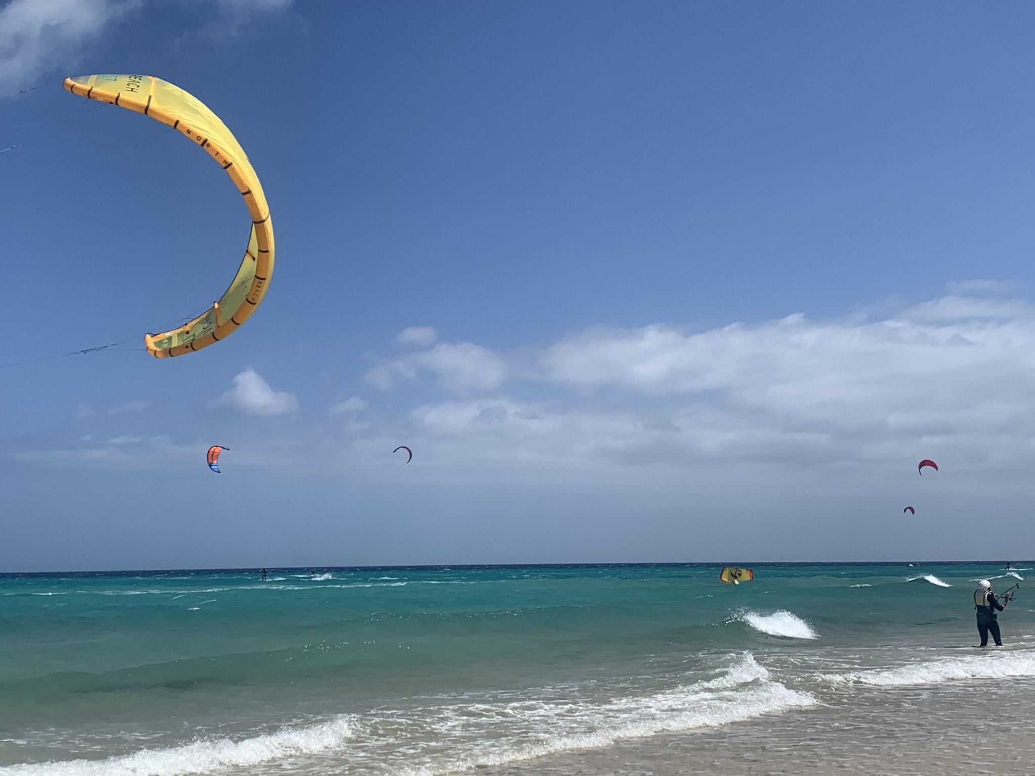 Iwona mit Meerblick-Binnen
