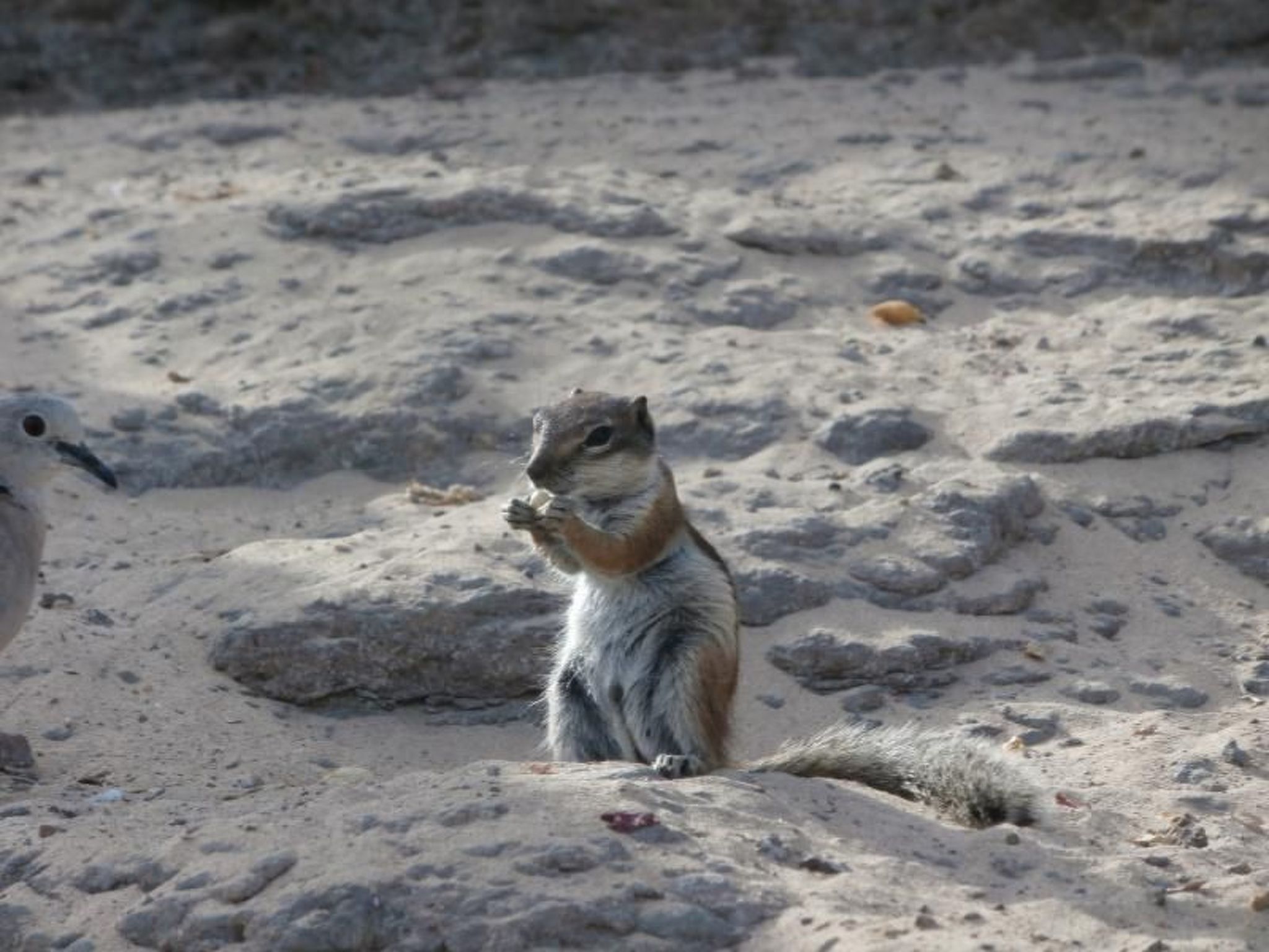 Iwona mit Meerblick-Binnen