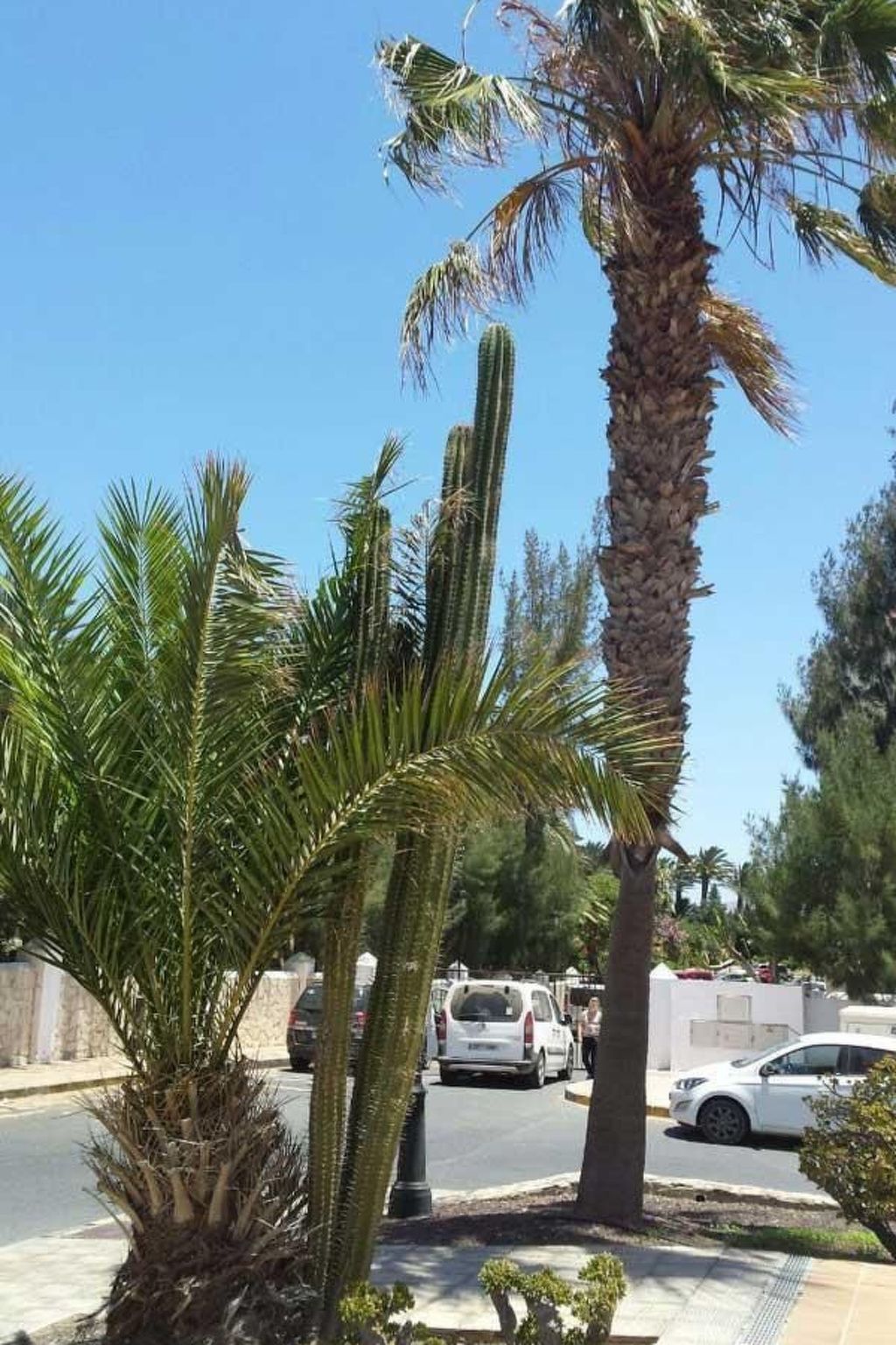 Wohnung "Costa Calma" mit gemeinschaftlichem Pool-Dedans