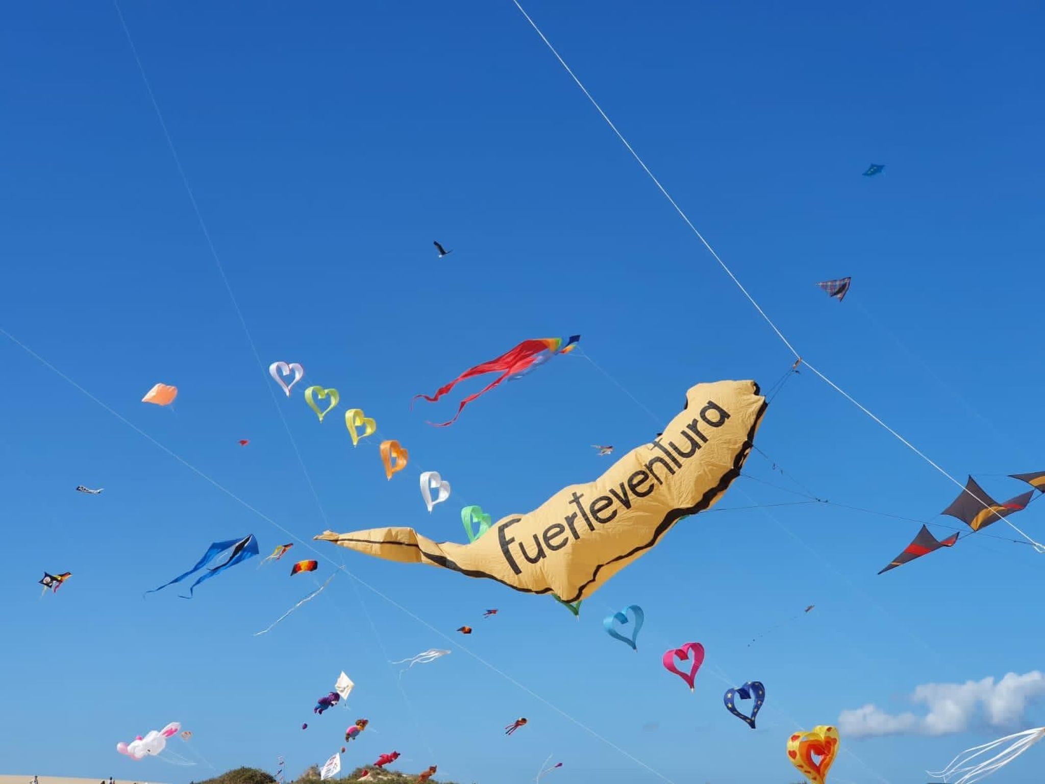 Großes modernes Ferienapartment Villa Atlantico-Binnen