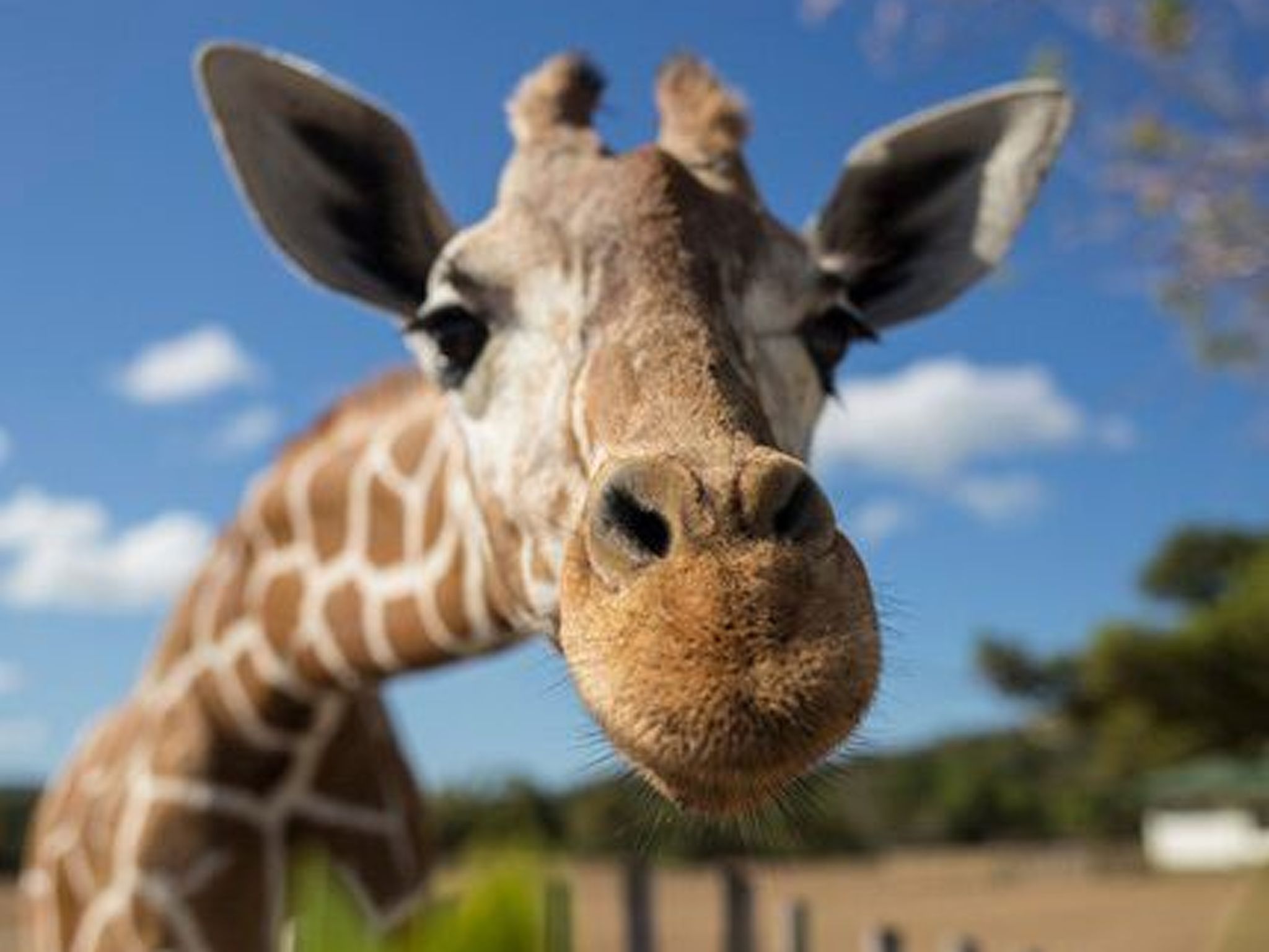 Großes modernes Ferienapartment Villa Atlantico-Binnen