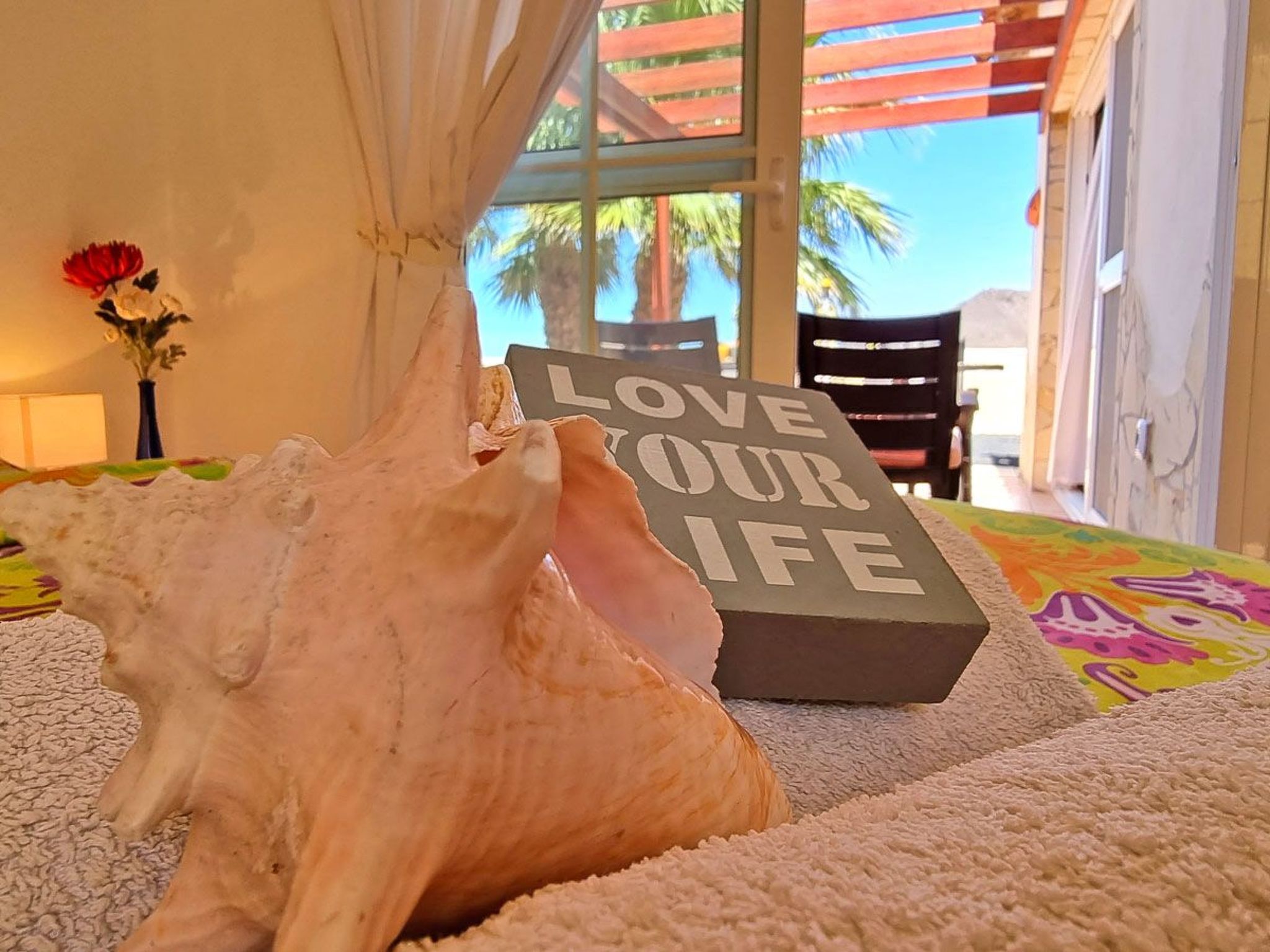 Casa Oasis-Image-tags.info