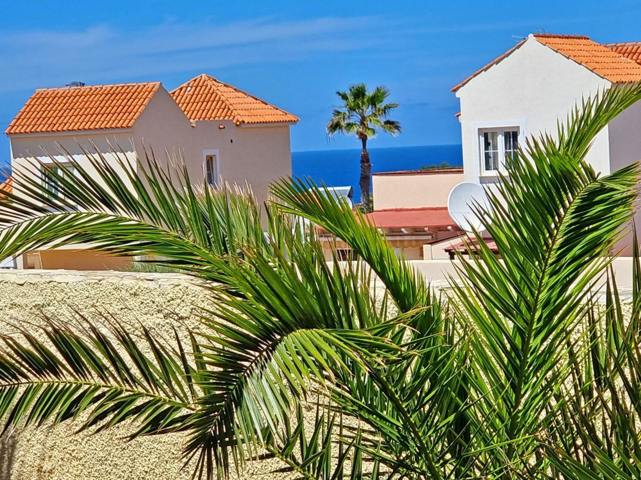 Casa Oasis-Image-tags.info