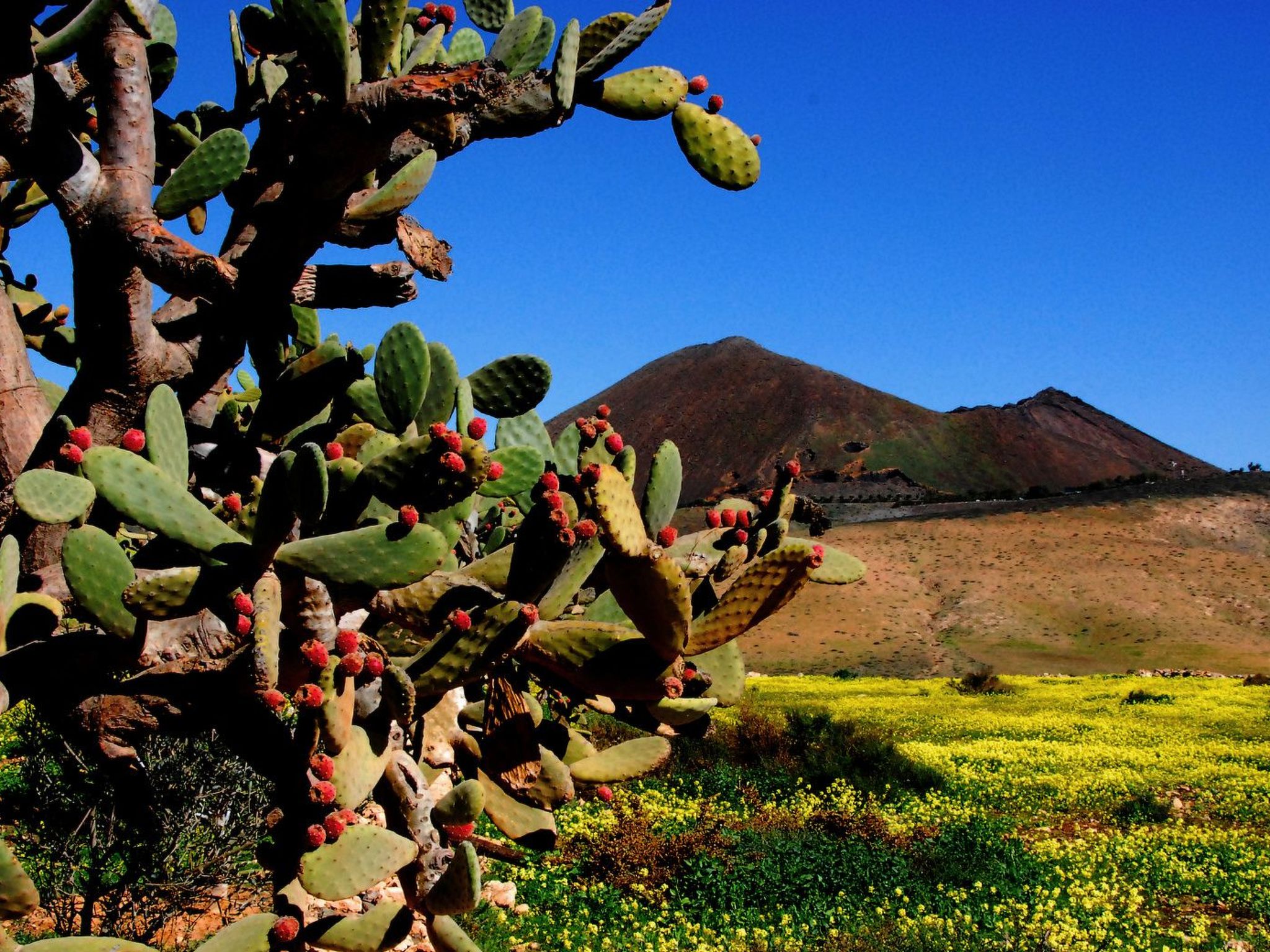 Maritim und modern eingerichtete Ferienwohnung-Binnen