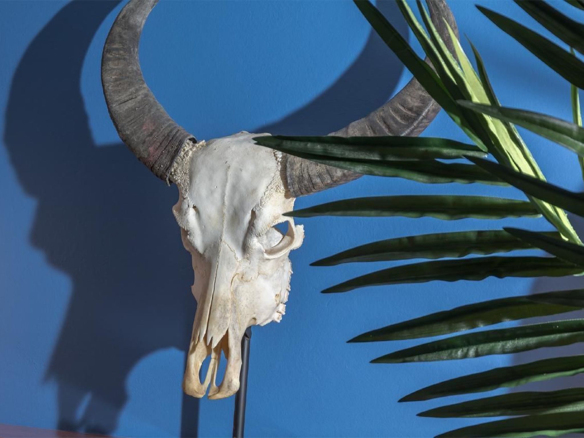 Stilvolle Wohnung in El Charco - Arrecife-Binnen