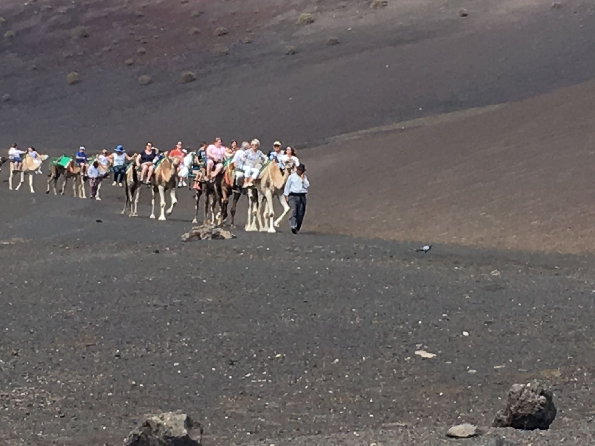 In Costa Teguise mit Privatem Pool-Binnen