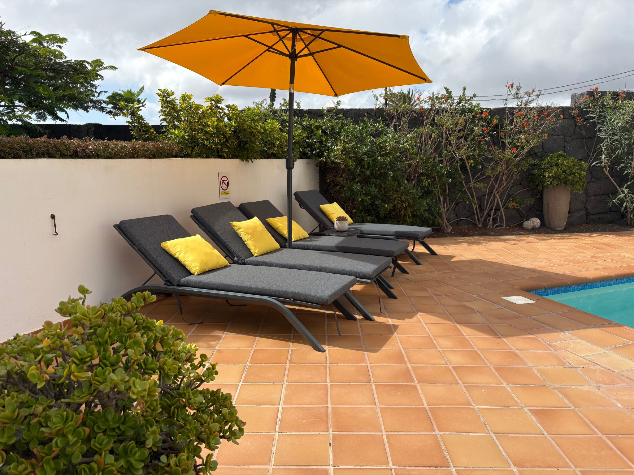 Casa Árbol del Fuego