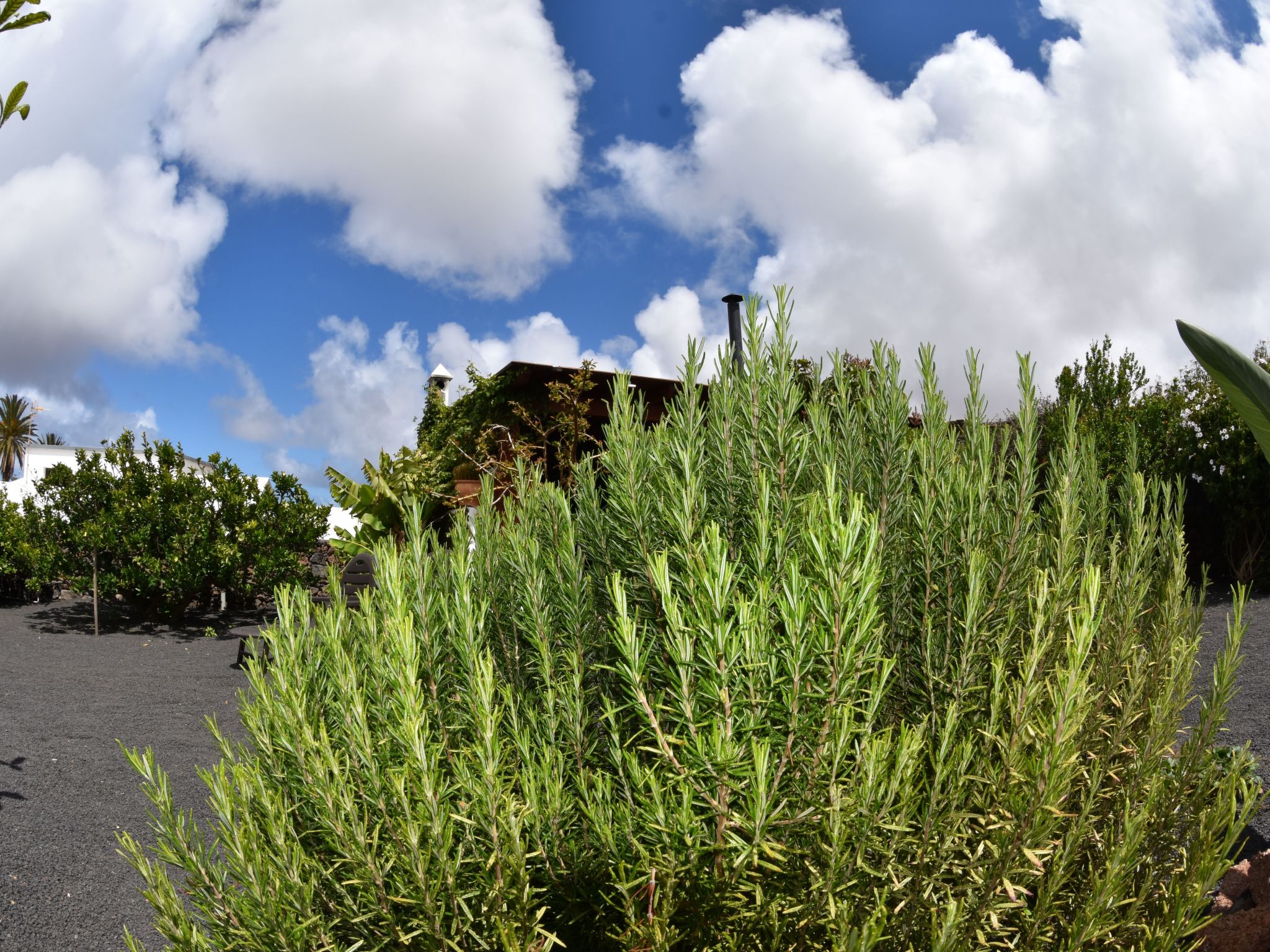 Exklusives Landhaus mit Garten und überdachter Terrasse sowie schöner Aussicht-Buiten