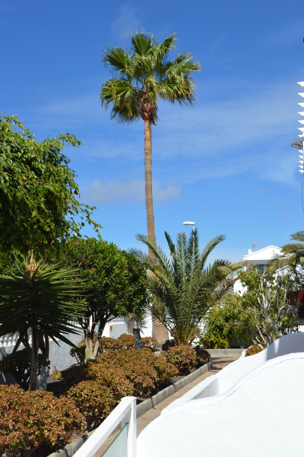 Für 5 Personen ca. 65 m&sup2; in Puerto del Carmen, Lanzarote (Südküste von Lan