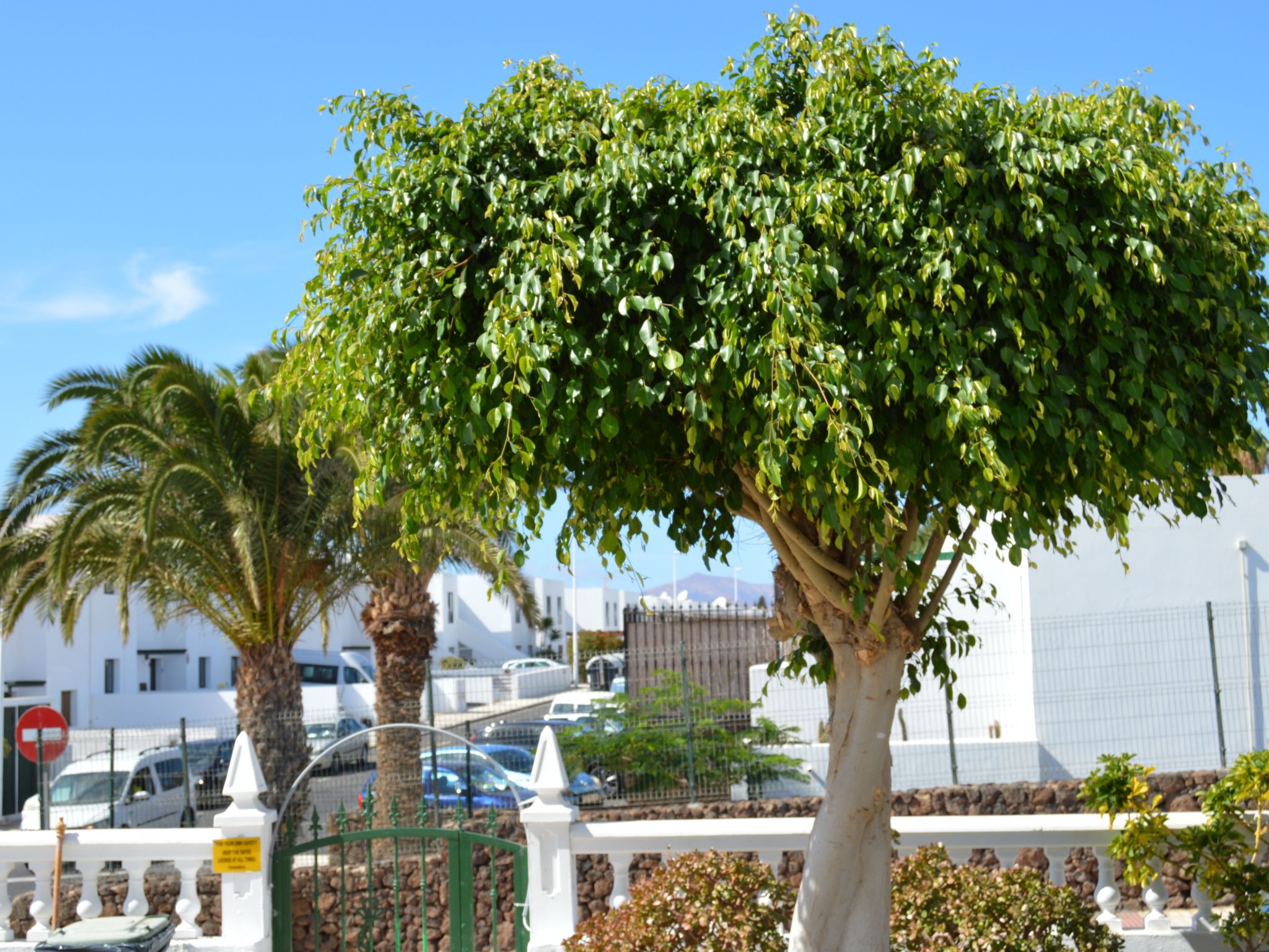 Für 5 Personen ca. 65 m&sup2; in Puerto del Carmen, Lanzarote (Südküste von Lan-Image-tags.info