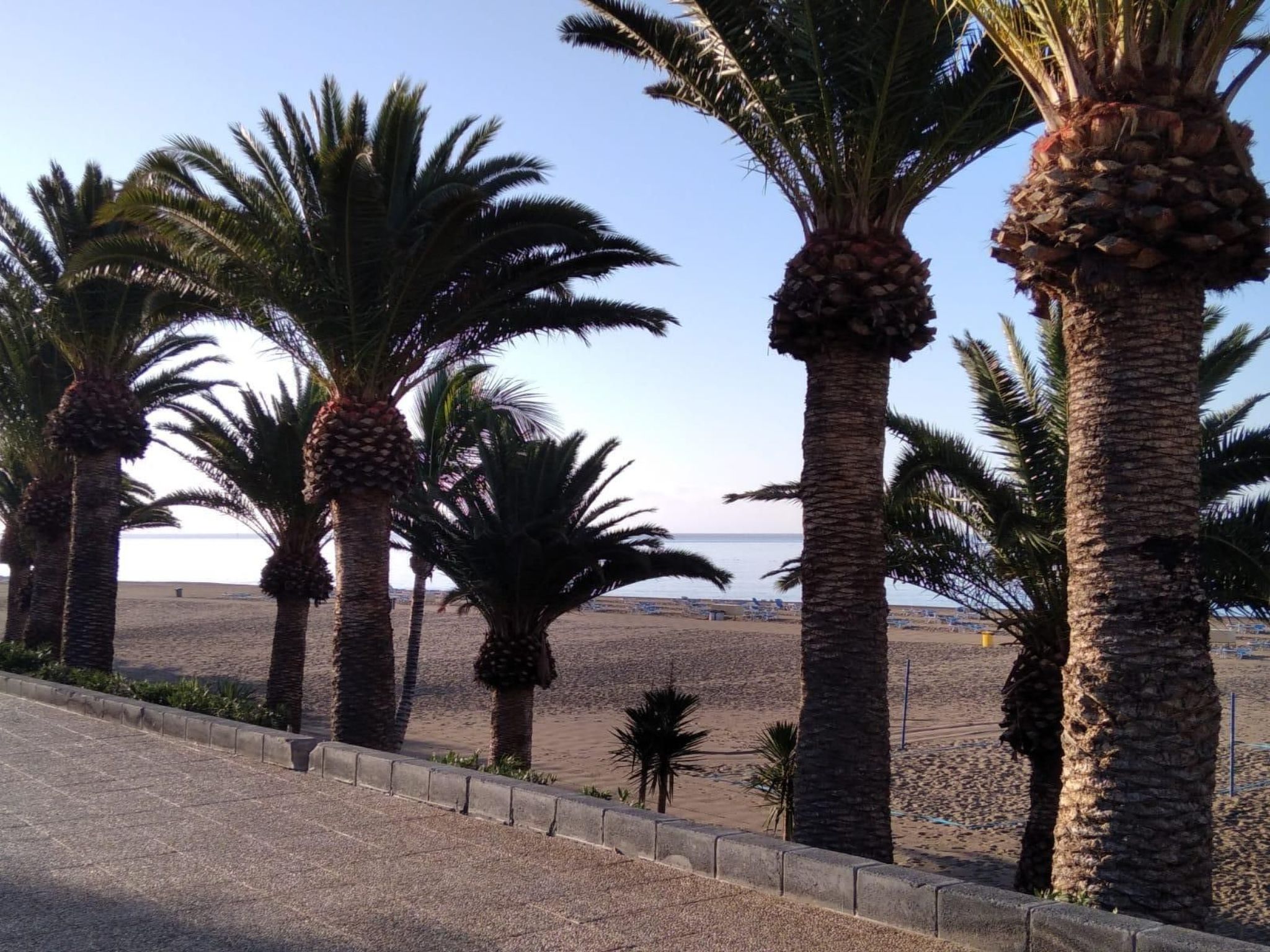 AGUAZUL 202-Image-tags.info