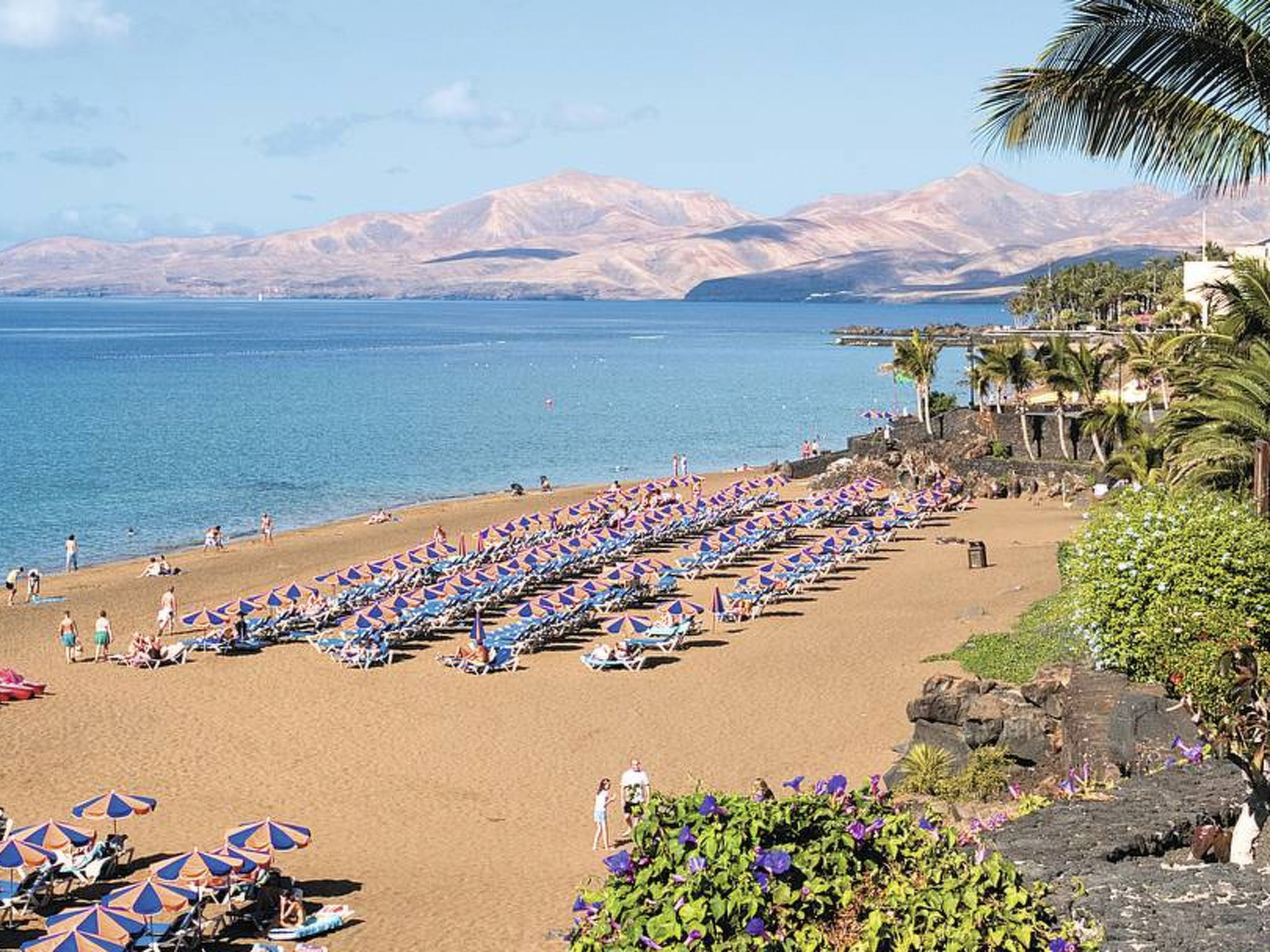 AGUAZUL 202-Image-tags.info