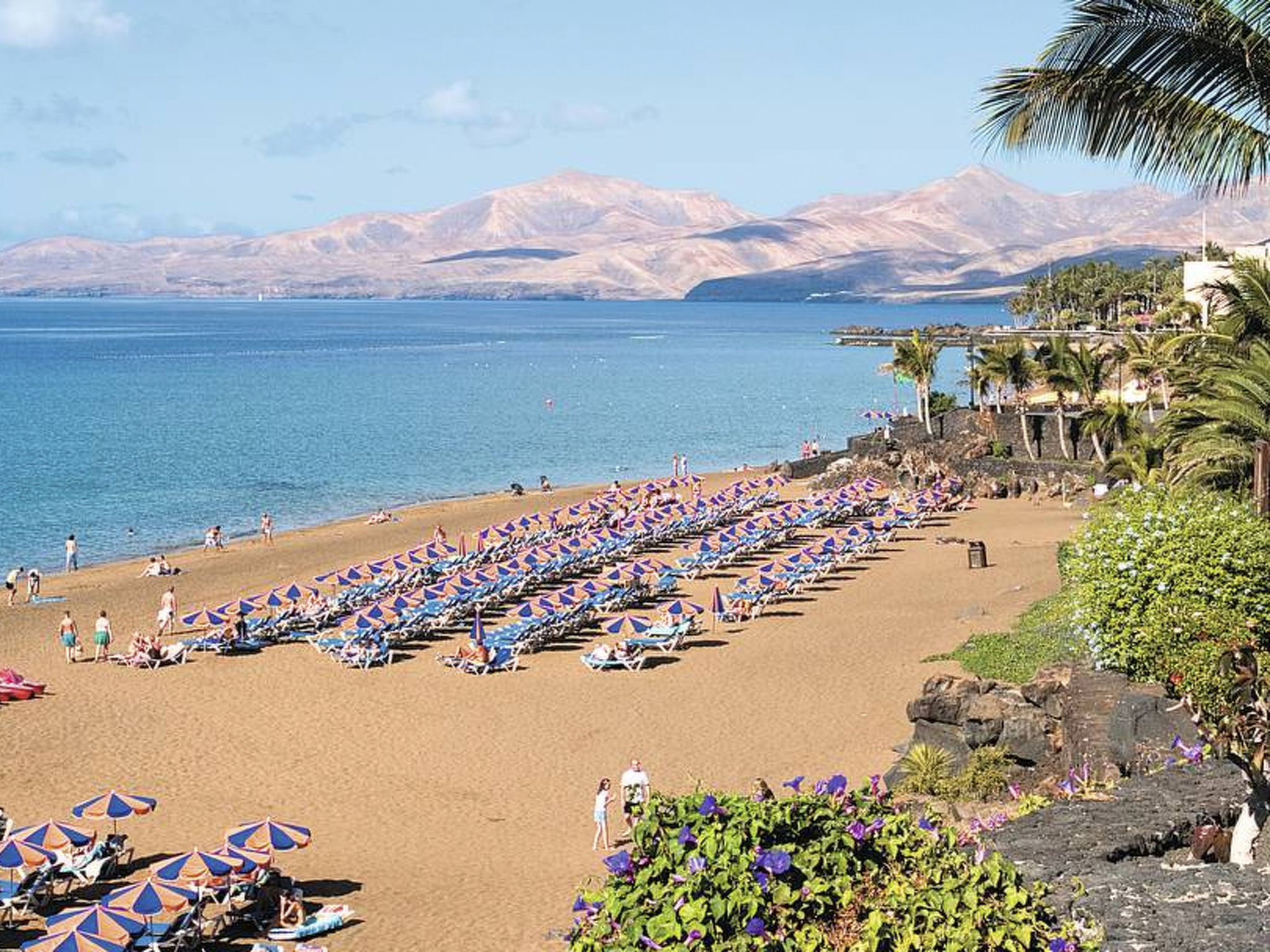 AGUAZUL 216-Image-tags.info