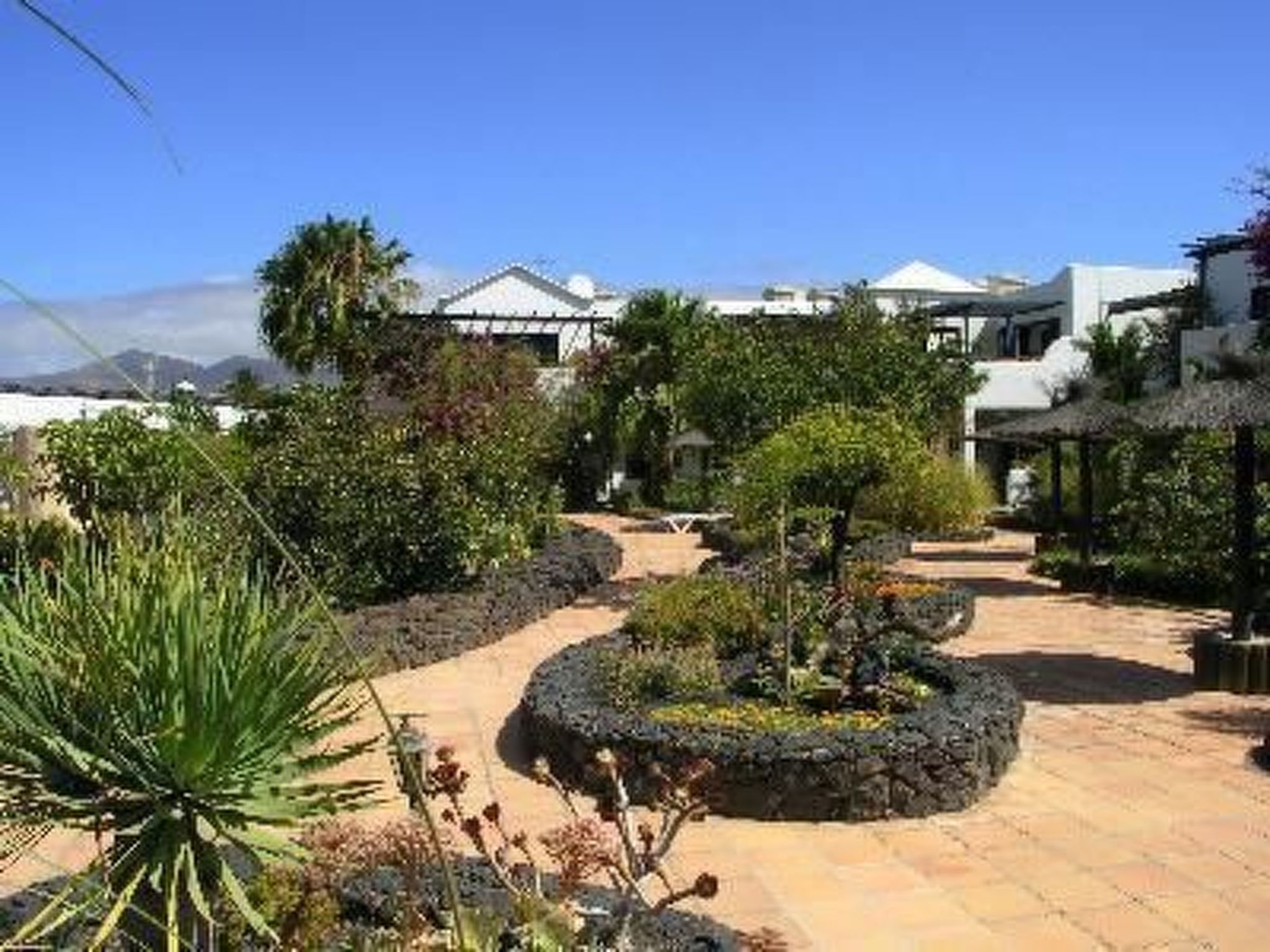 Appartment 8A-Image-tags.info