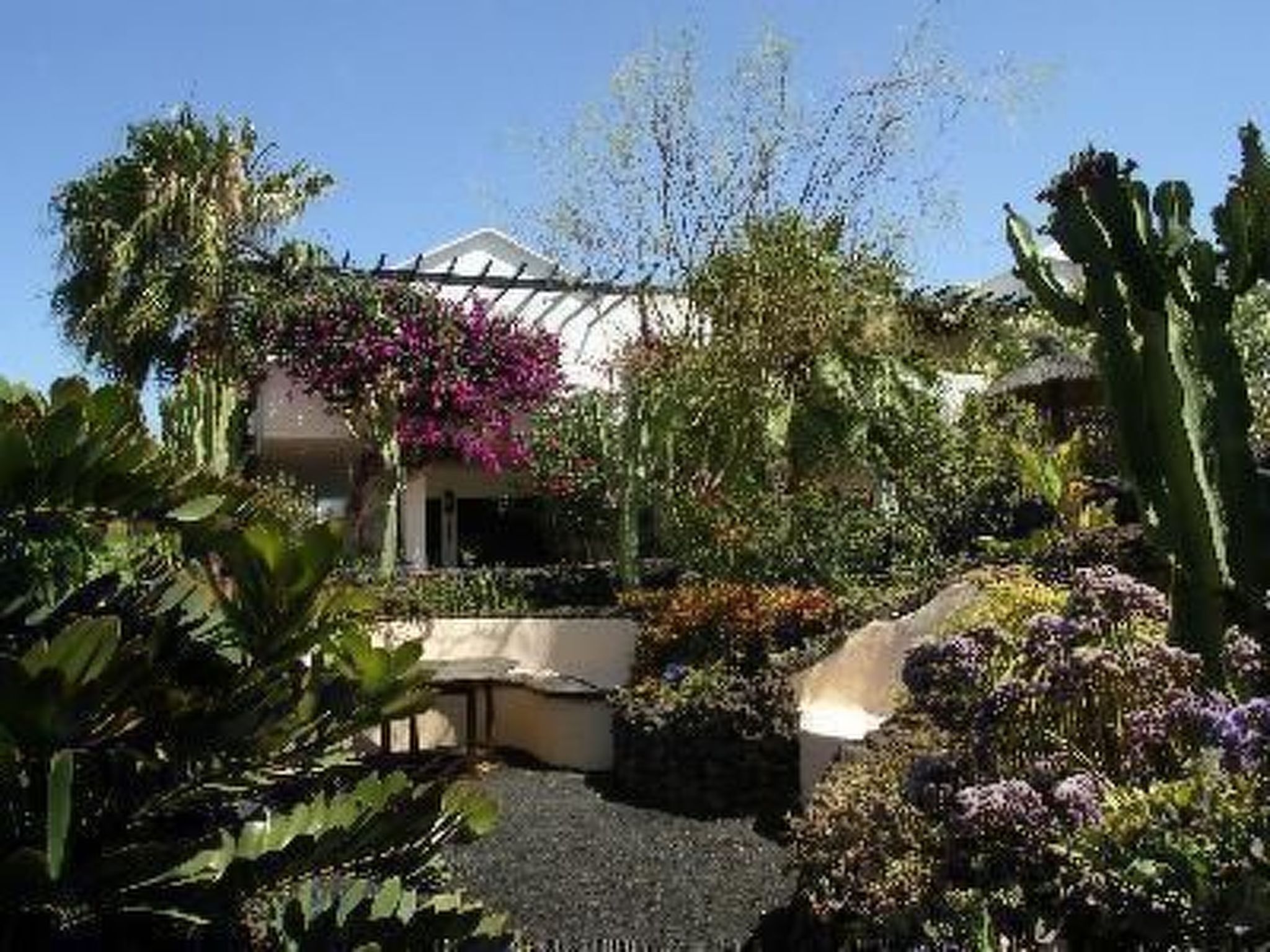 Appartment 8A-Image-tags.info