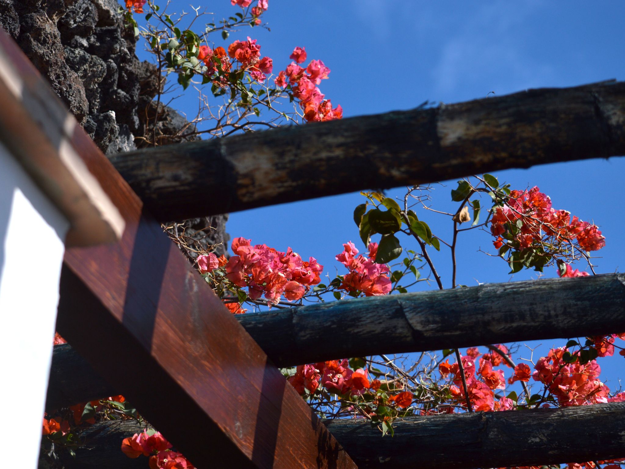 Schön eingerichtetes Bauernhaus - La Finca Yazmina-Binnen