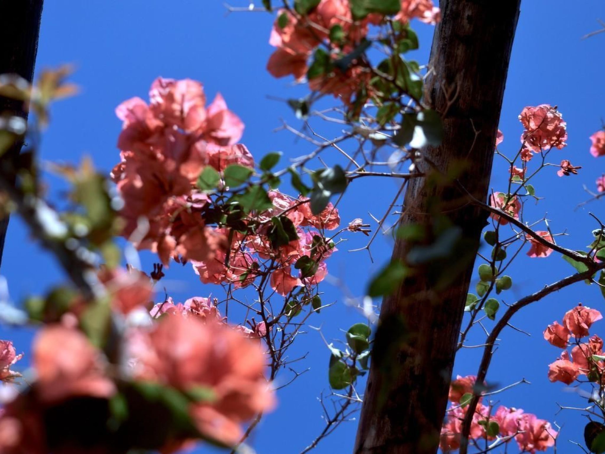 Lavastein-Bauernhaus Yazmina mit schönem Garten-Binnen