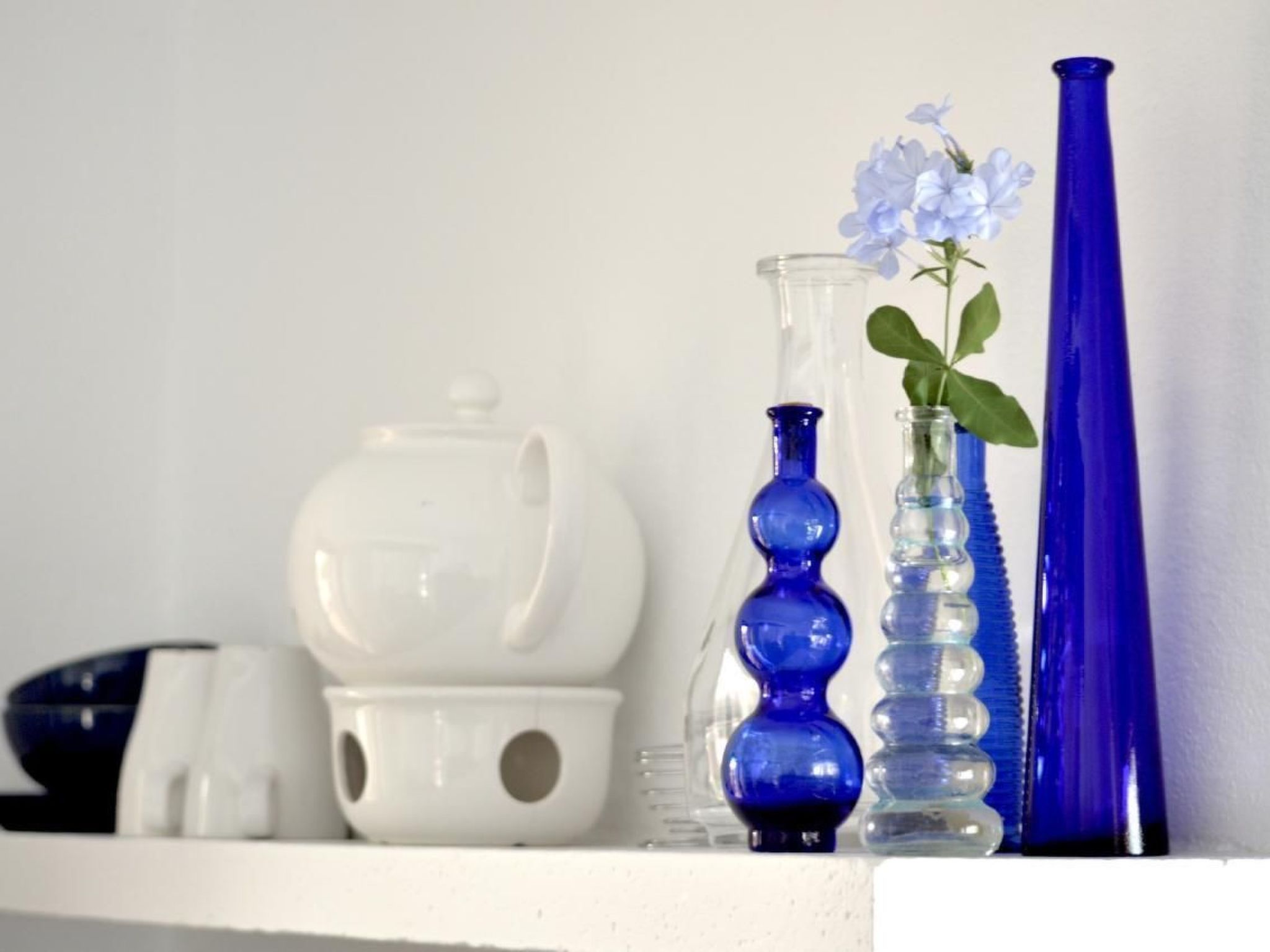 Appartement Casa Hibisco mit schönem Garten-Binnen